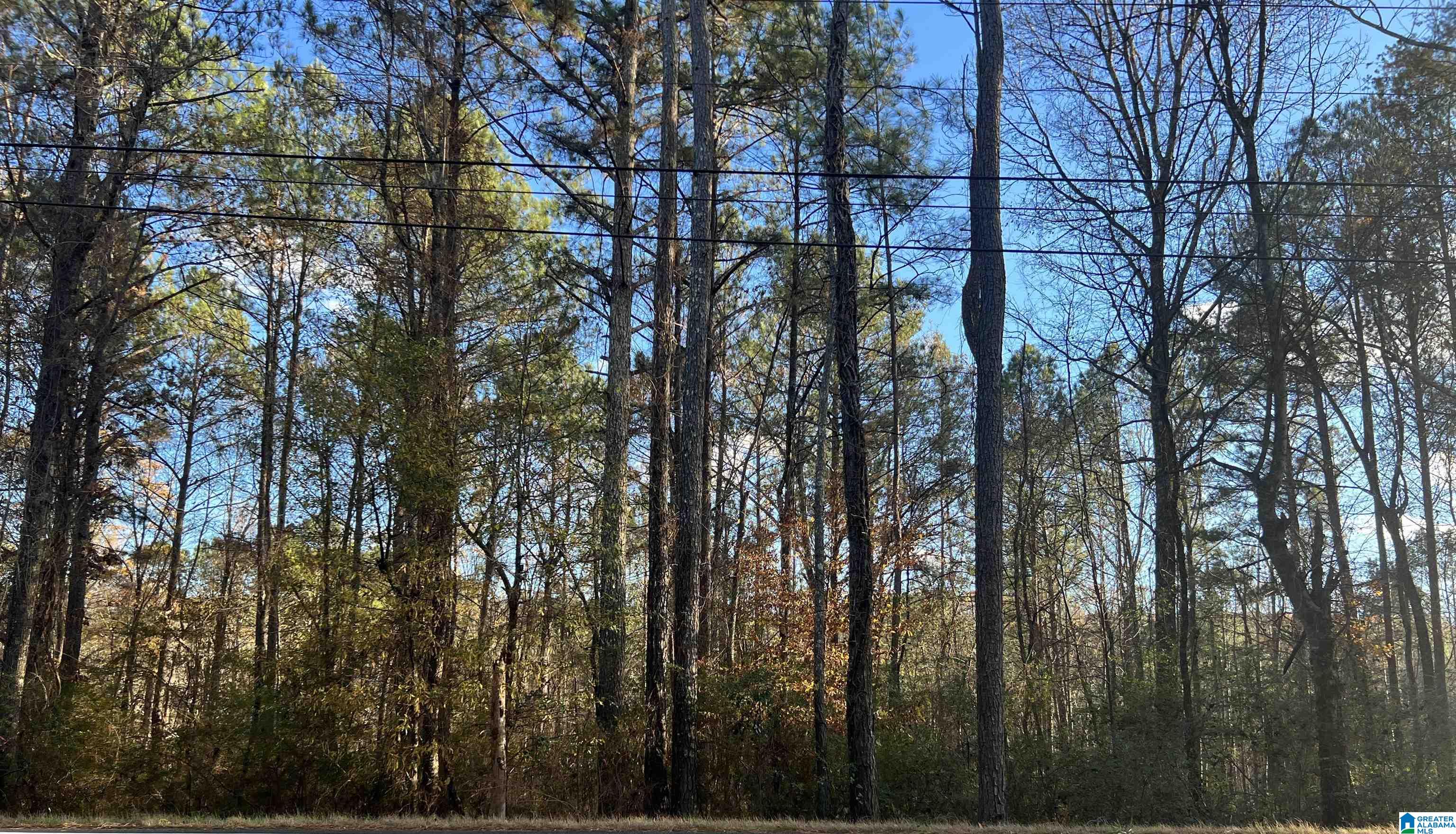 7643 Roper Road, Unit 18A Trussville, AL 35173 - Photo 3 of 3