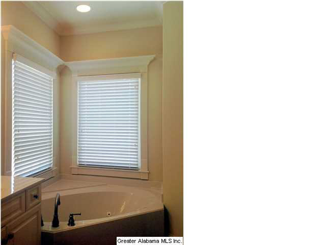 173 Shore Front Lane Wilsonville, AL 35186 - Photo 15 of 32