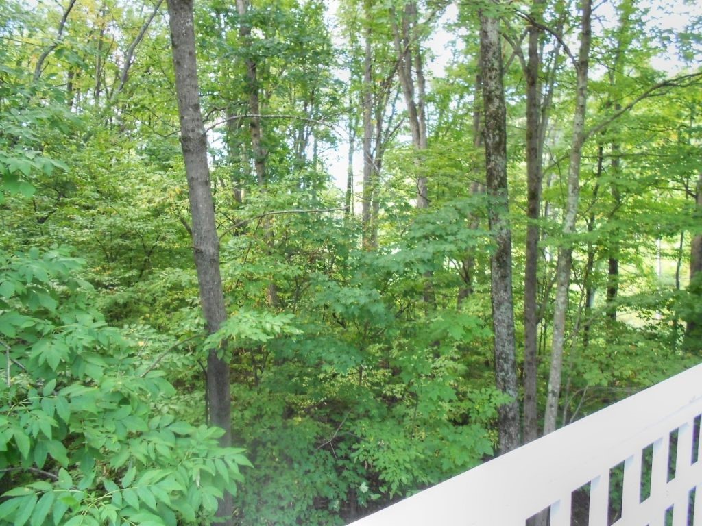 32 Larch Road, Unit 32 South Burlington, VT 05403 - Photo 22 of 25 Gallery Image 22