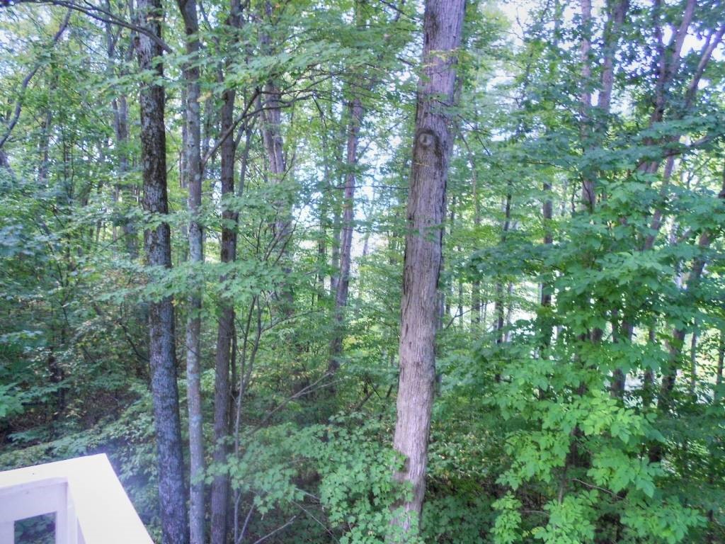 32 Larch Road, Unit 32 South Burlington, VT 05403 - Photo 24 of 25 Gallery Image 24