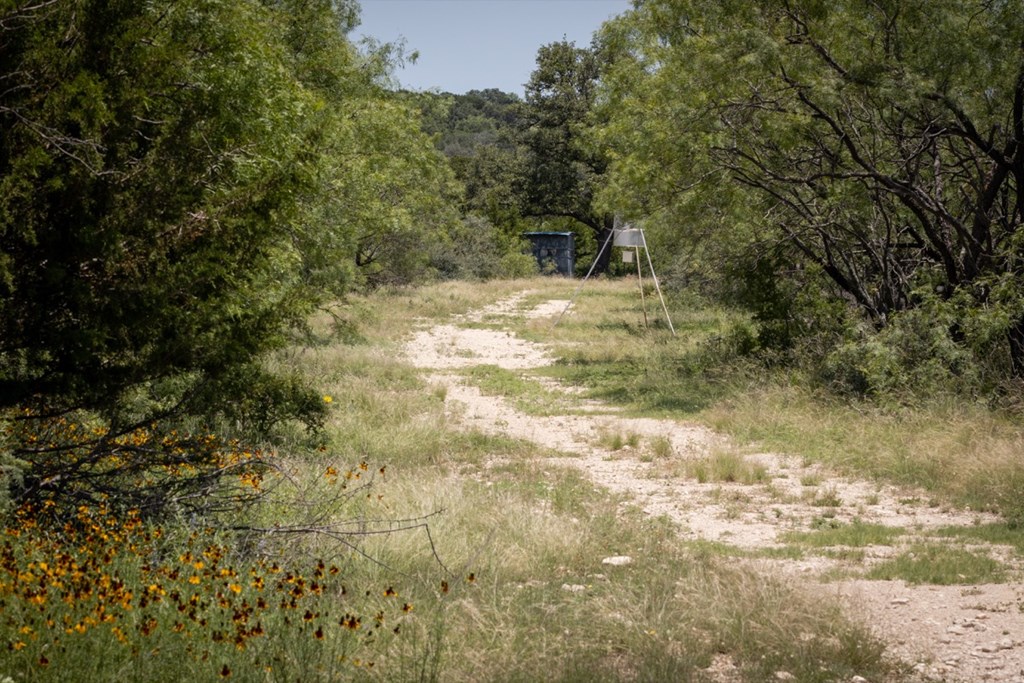 32020 County Road Roosevelt, TX 76874 - Photo 24 of 35 Gallery Image 24