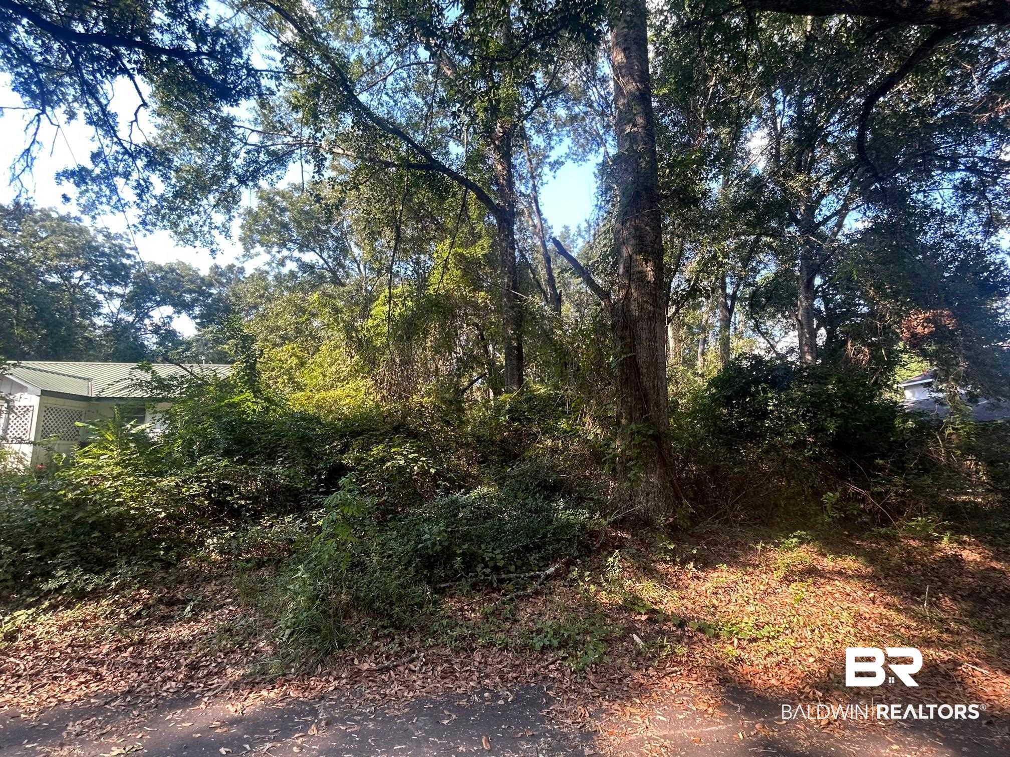 0 1st Street Mobile, AL 36608 - Photo 5 of 5 View of yard