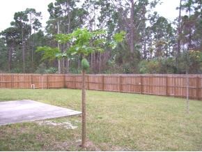 160 Angelo Road Southeast Palm Bay, FL 32909 - Photo 12 of 12 Additional Photo