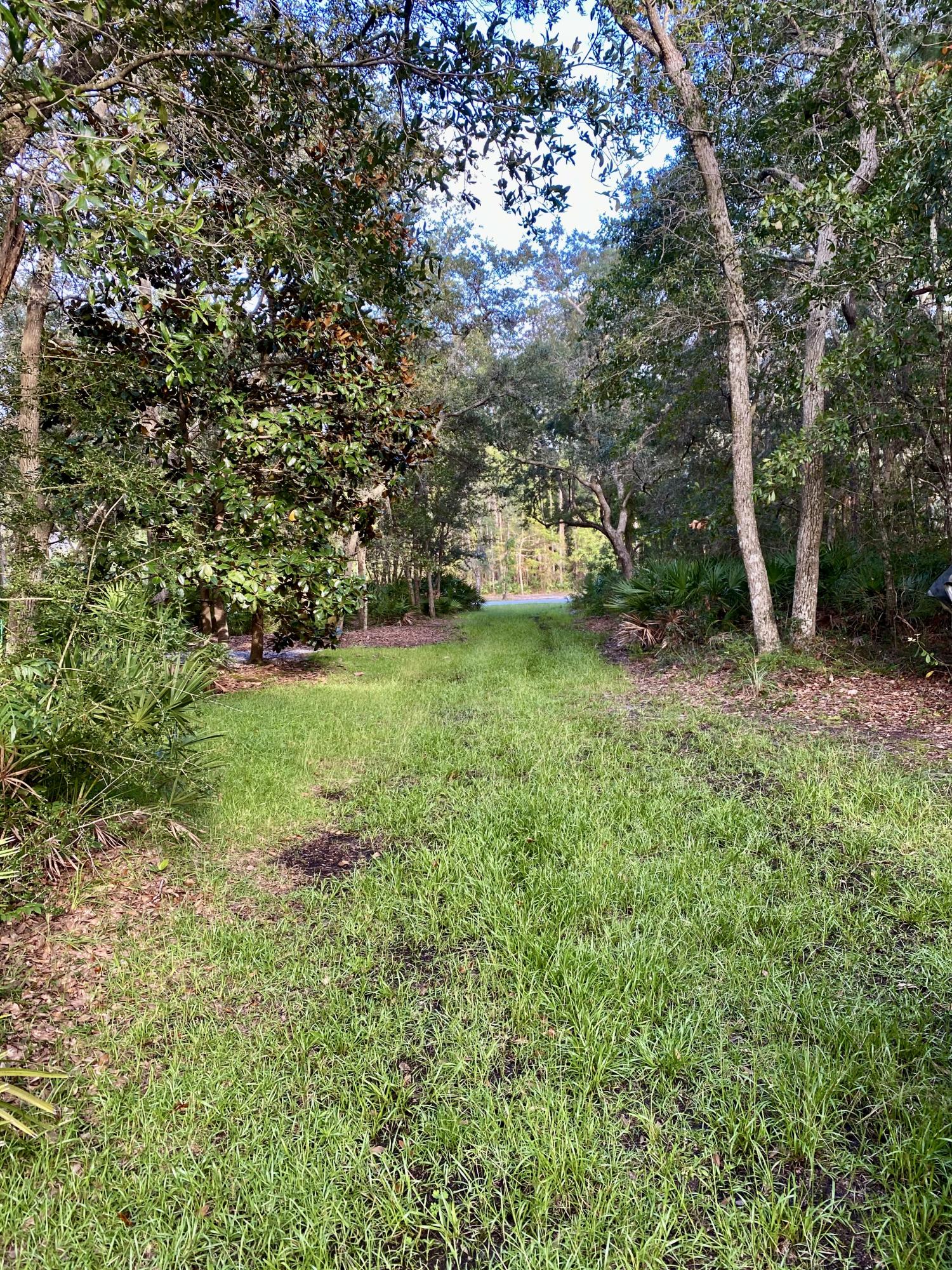4B Lagrange Road Freeport, FL 32439 - Photo 6 of 6 View walking back to the road