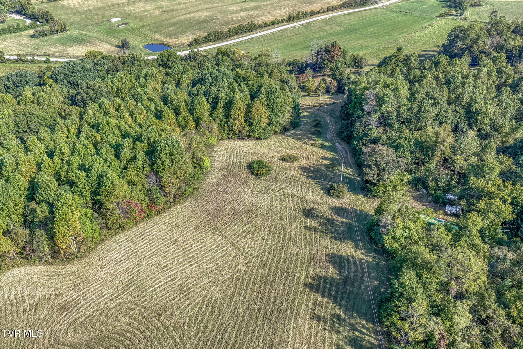 1680 Old Milburnton Road Limestone, TN 37681 - Photo 6 of 62 1680 Old Milburnton Rd-14