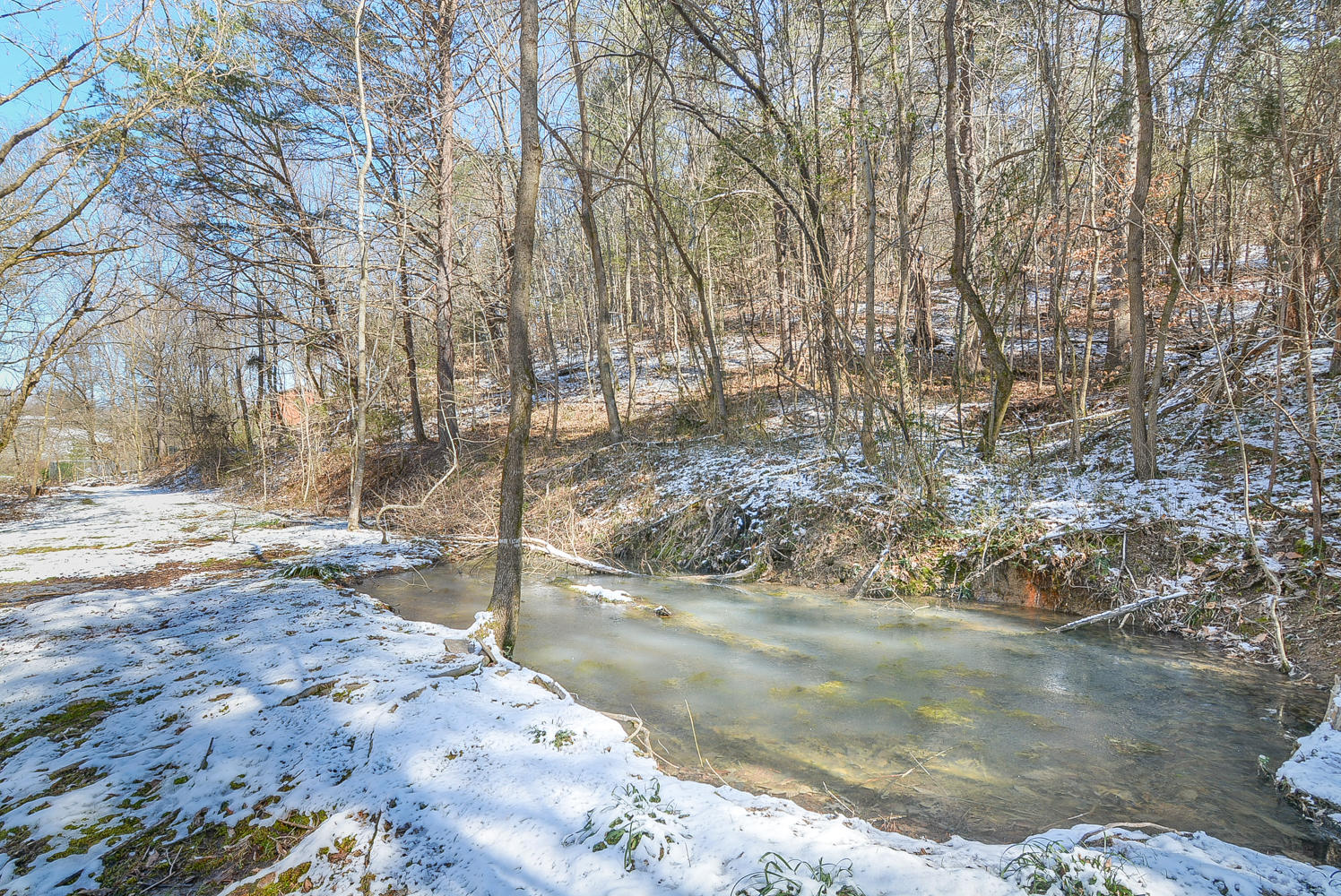 582 V I Ranch Road Bristol, TN 37620 - Photo 29 of 37 582 V I Ranch pond