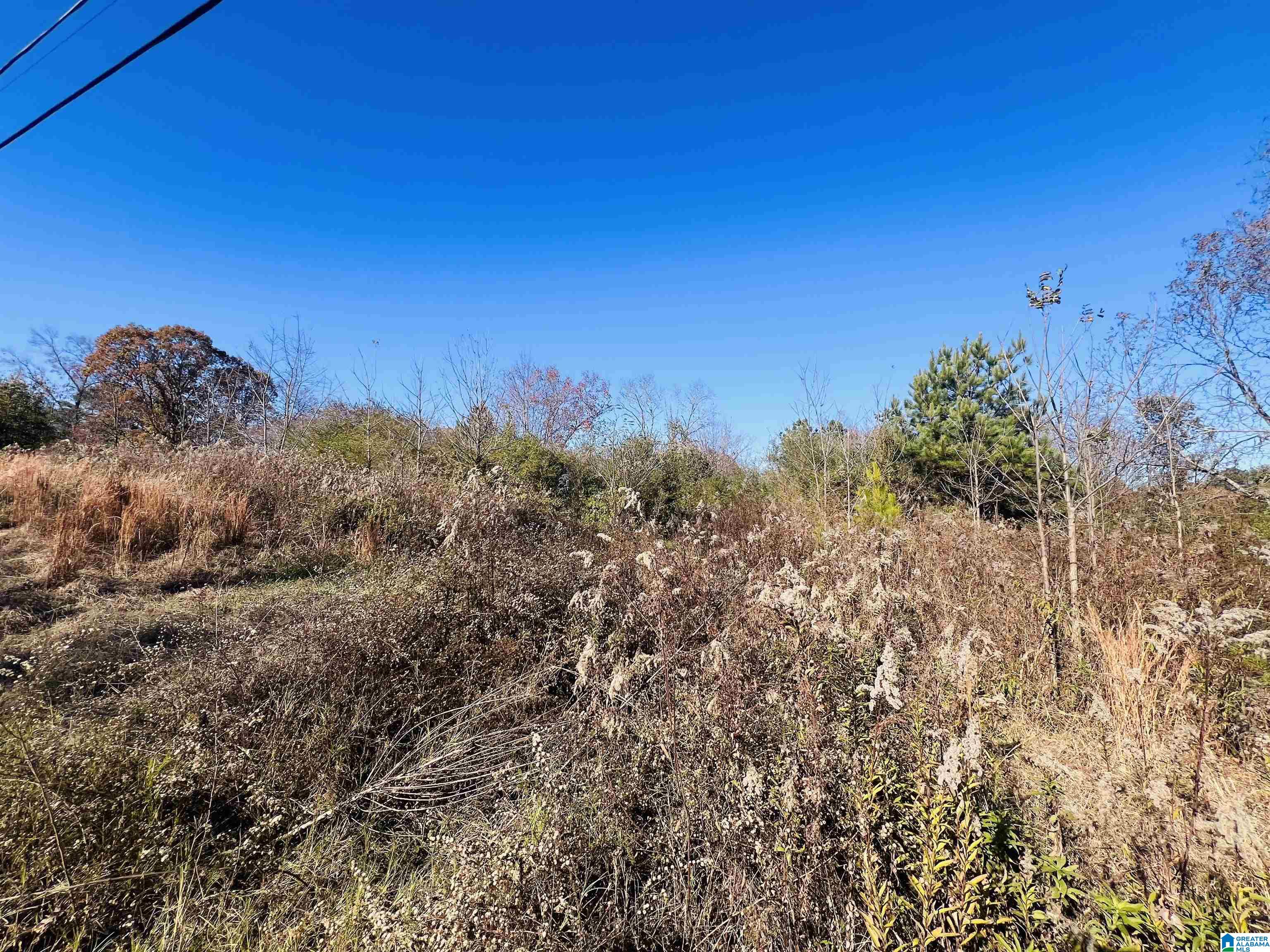 0 Coosa Island Road, Unit 23 AND 24 Cropwell, AL 35054 - Photo 14 of 23
