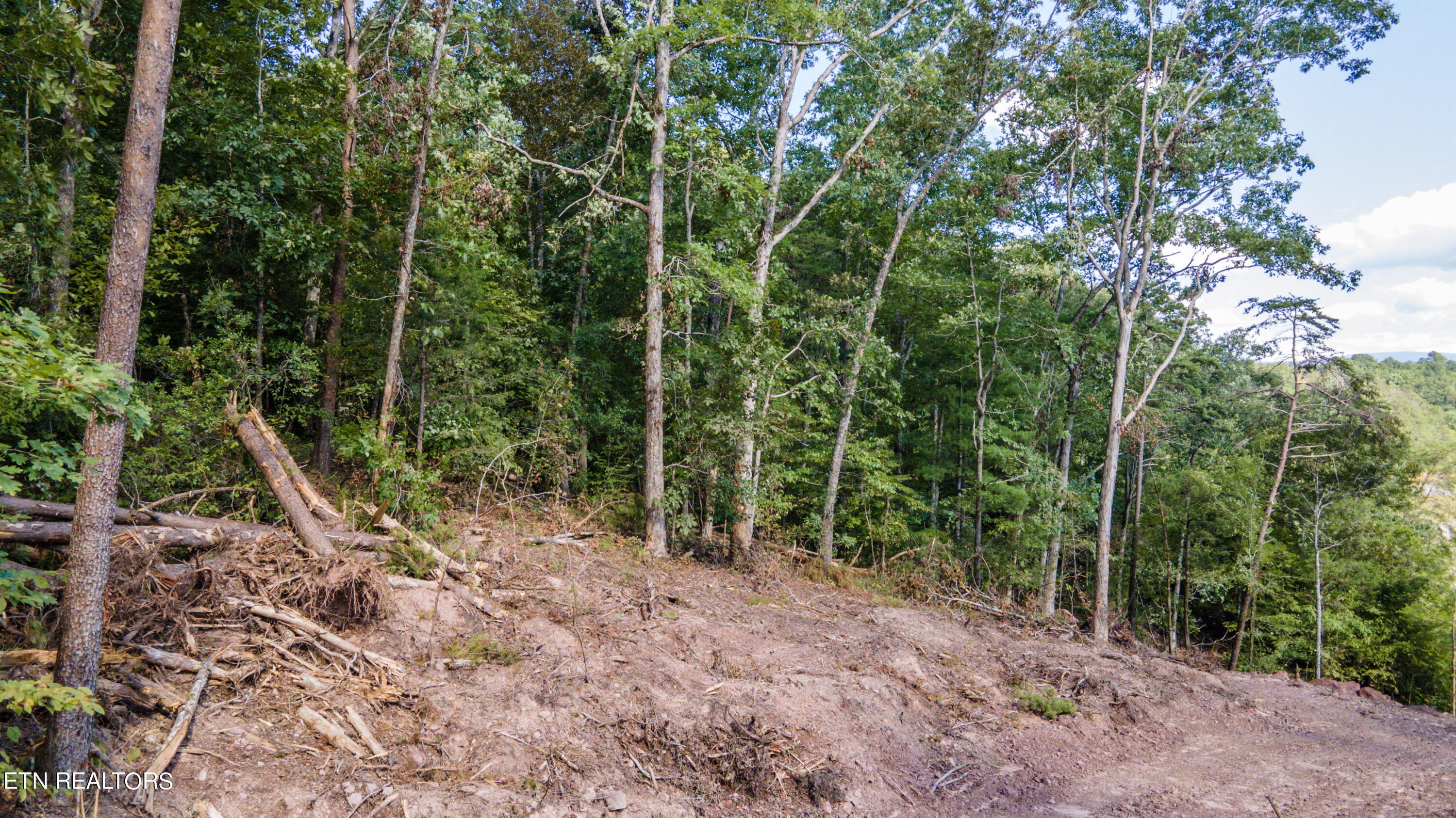 0 Bill Moser Road Vonore, TN 37885 - Photo 25 of 37 15-DJI_0919
