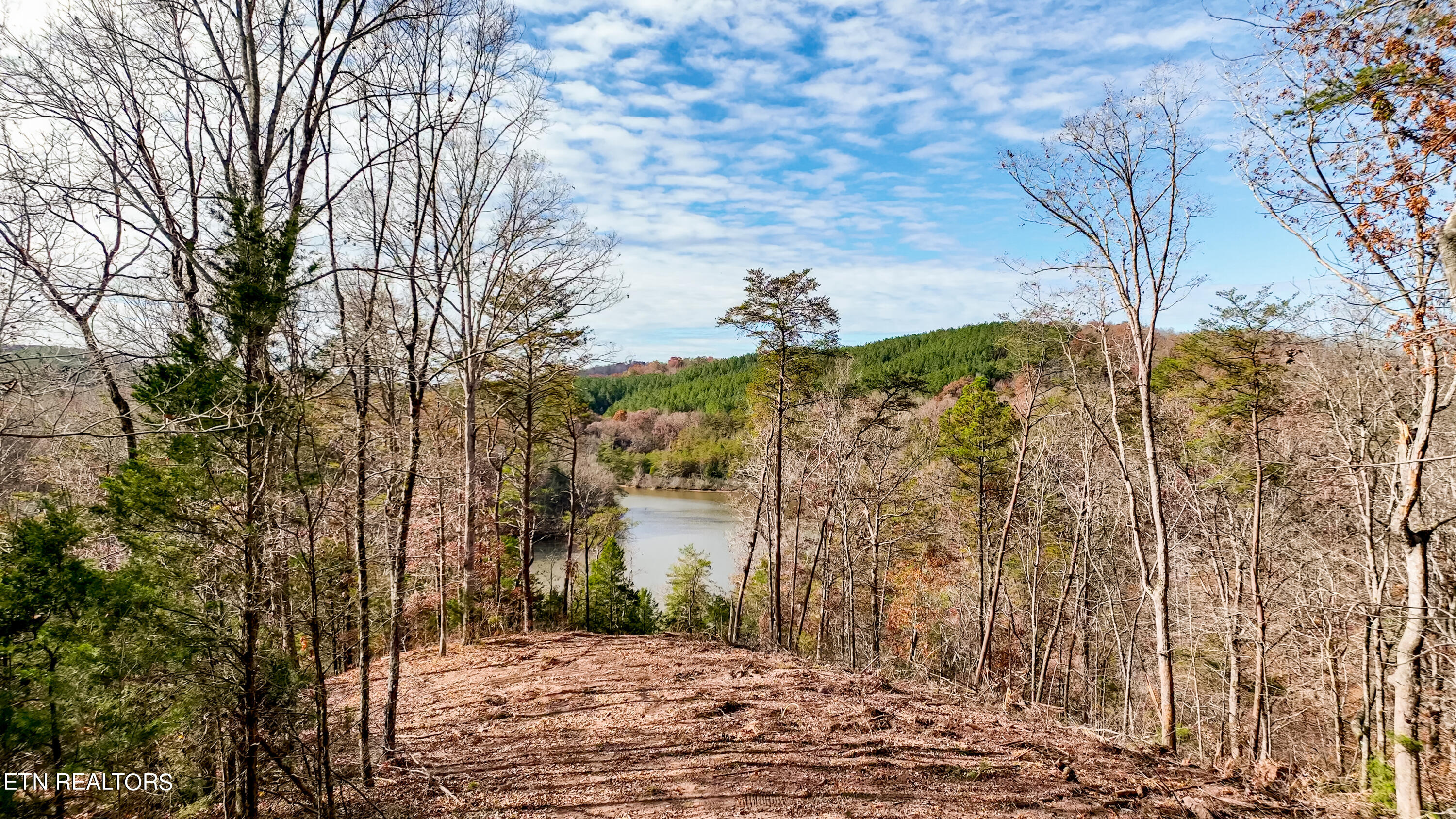 0 Bill Moser Road Vonore, TN 37885 - Photo 3 of 37 Vonore Property.8