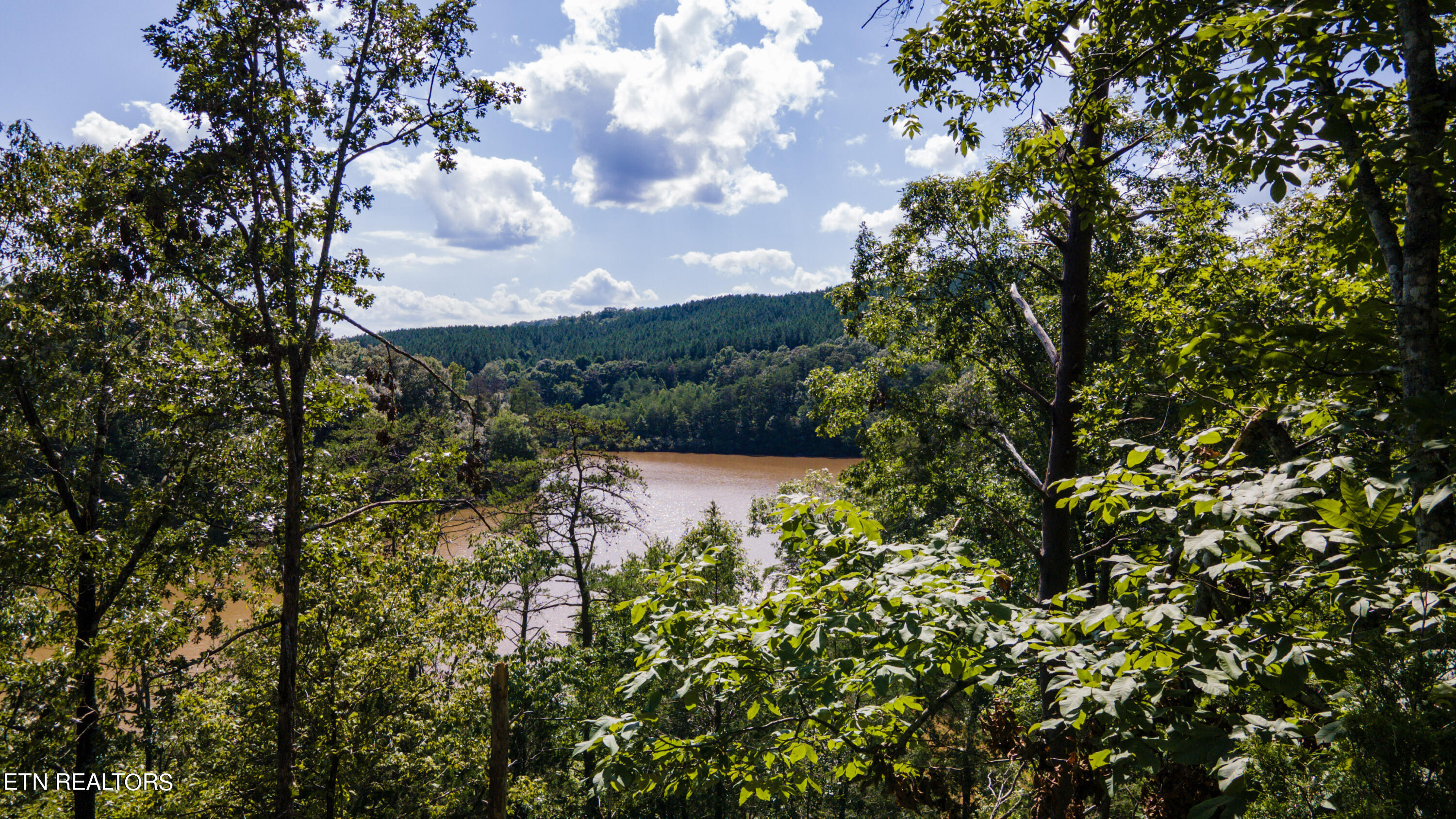 0 Bill Moser Road Vonore, TN 37885 - Photo 33 of 37 31-DJI_0881