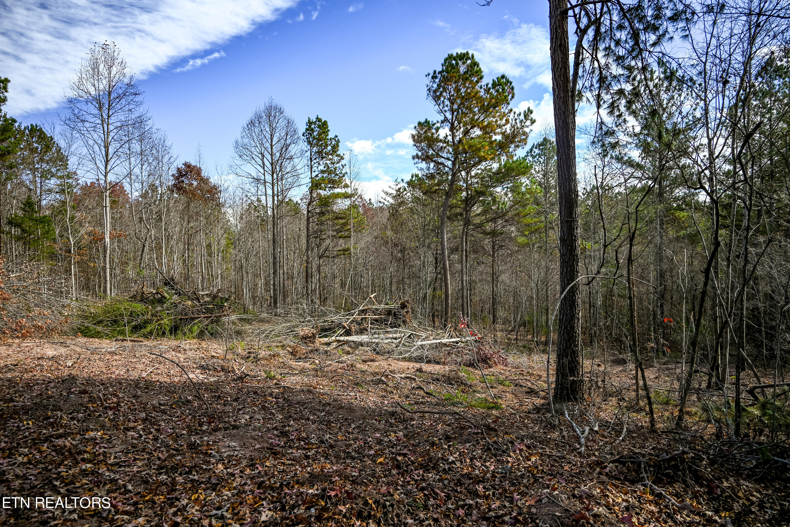 0 Bill Moser Road Vonore, TN 37885 - Photo 35 of 37 DSC_6066