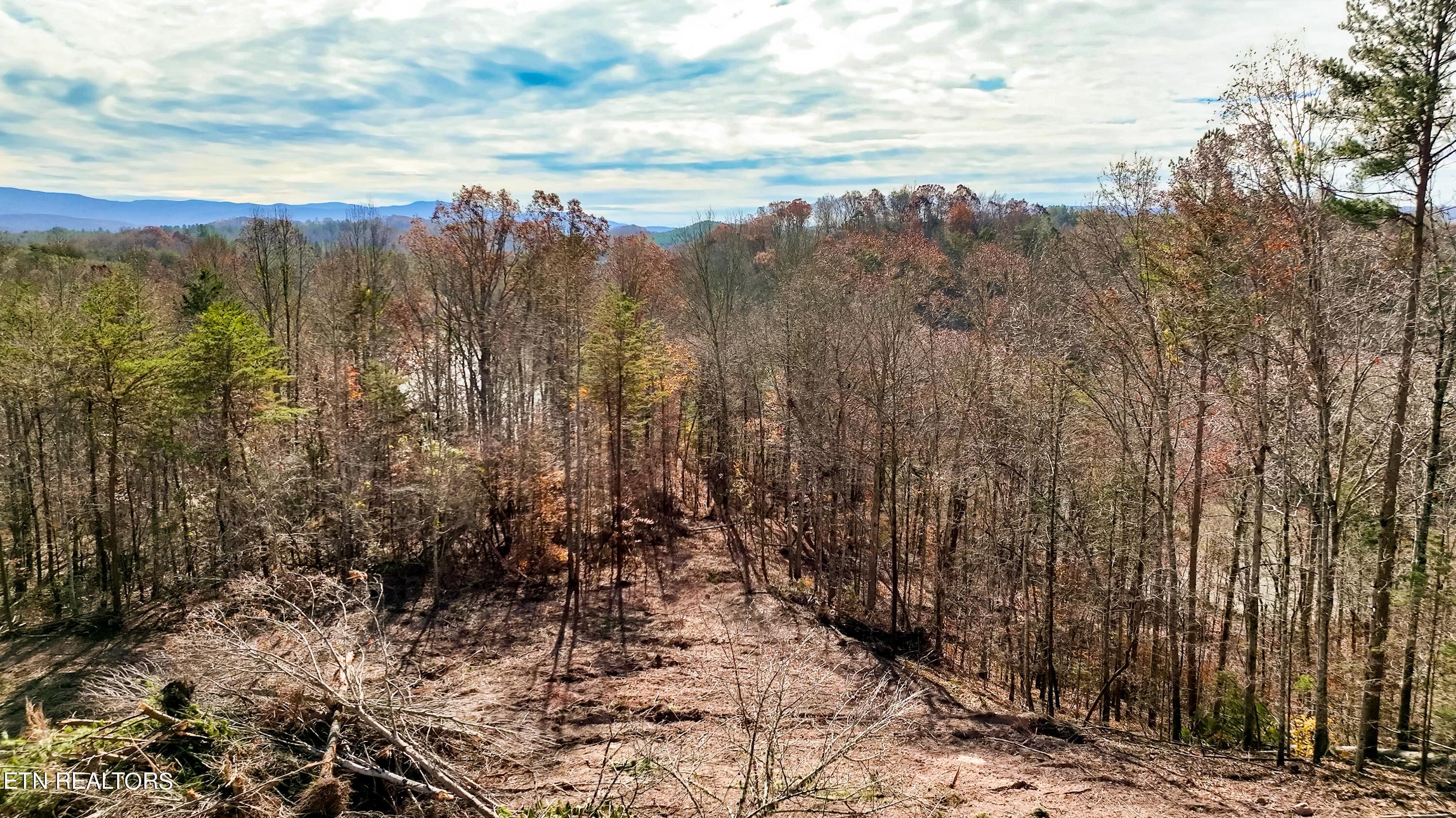0 Bill Moser Road Vonore, TN 37885 - Photo 6 of 37 Vonore Property.7