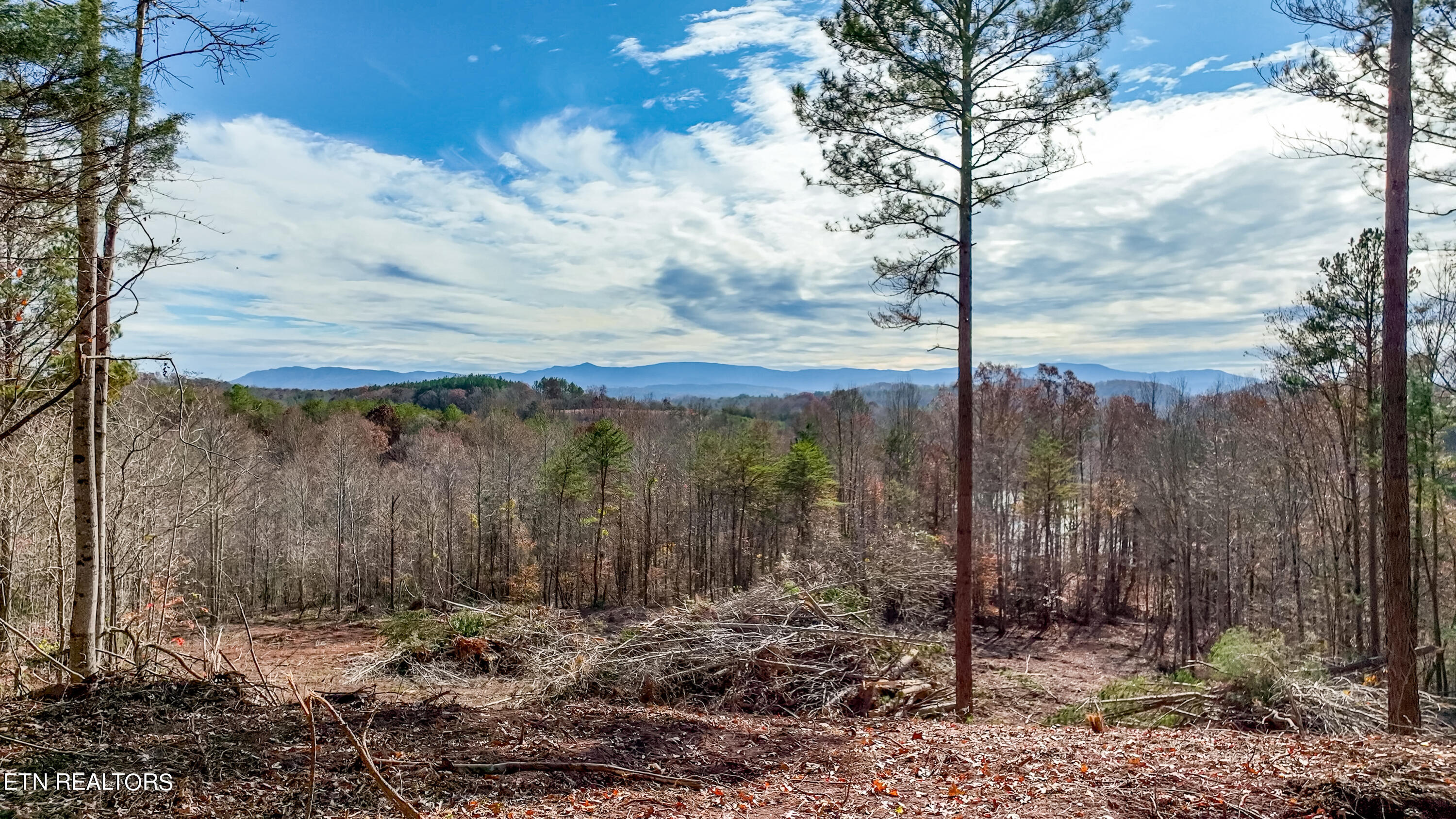0 Bill Moser Road Vonore, TN 37885 - Photo 7 of 37 Vonore Property.1