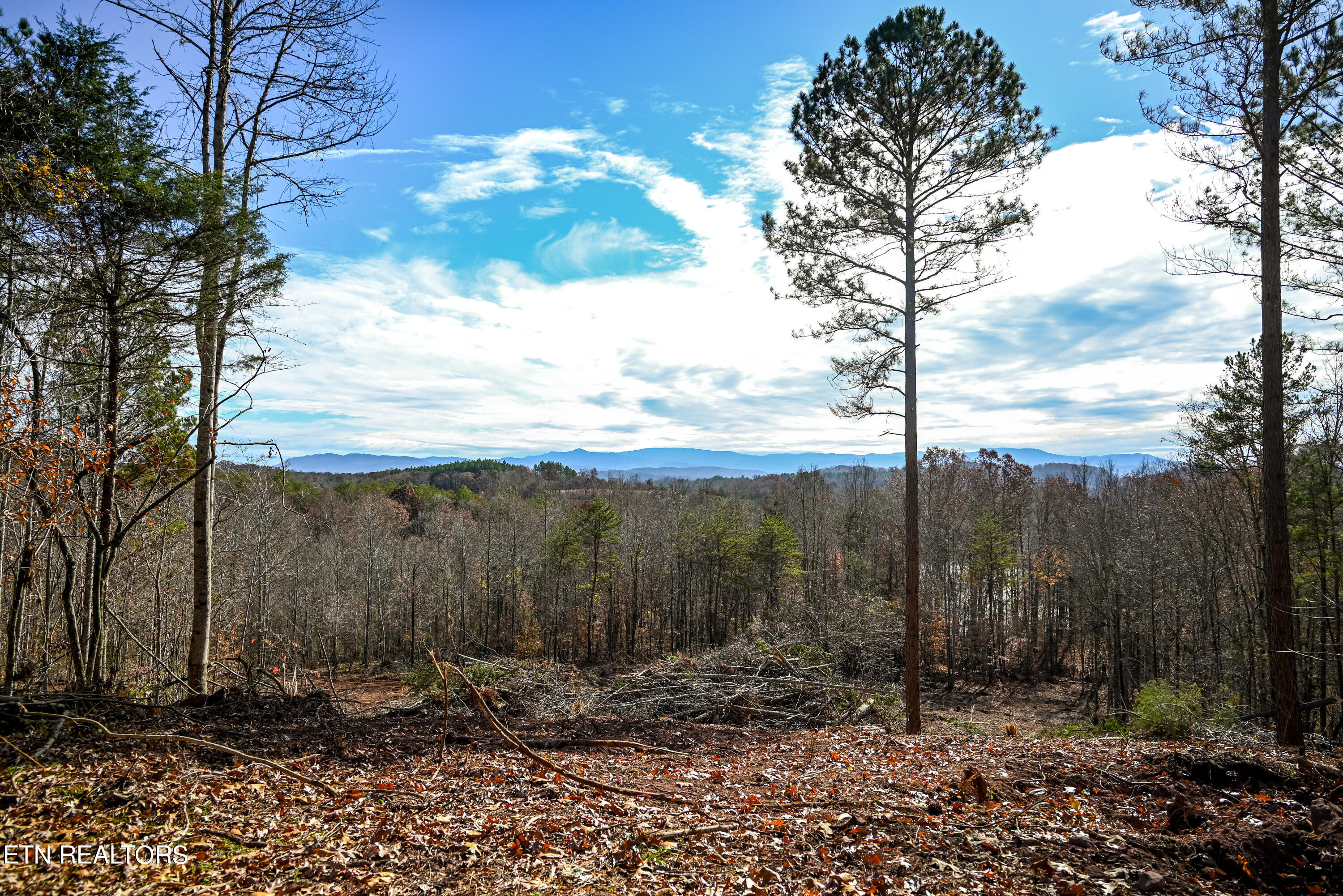 0 Bill Moser Road Vonore, TN 37885 - Photo 9 of 37 DSC_6011