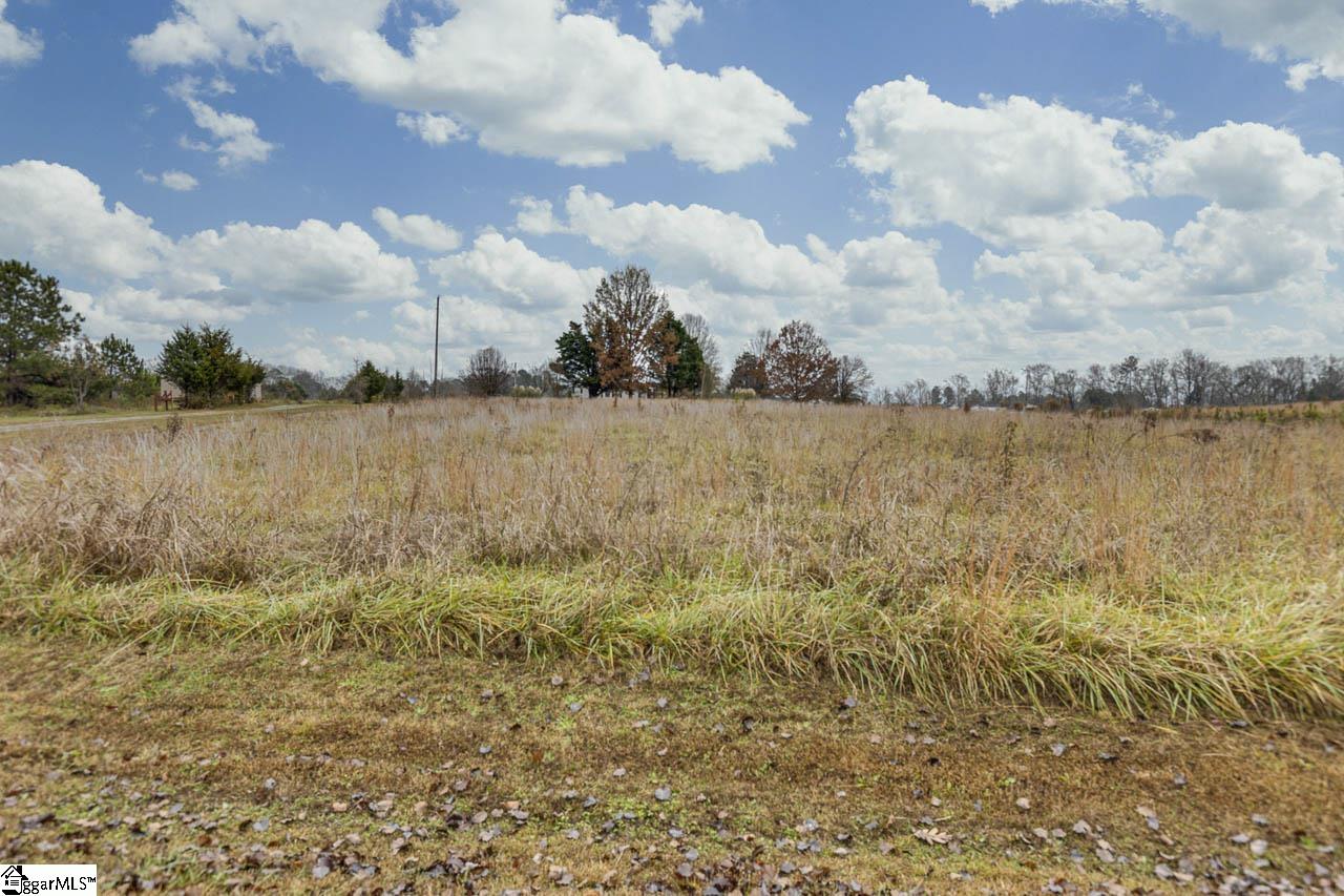 539 Sparrow Road Clinton, SC 29325 - Photo 30 of 32