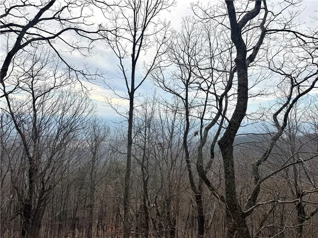 a view of lake and mountain