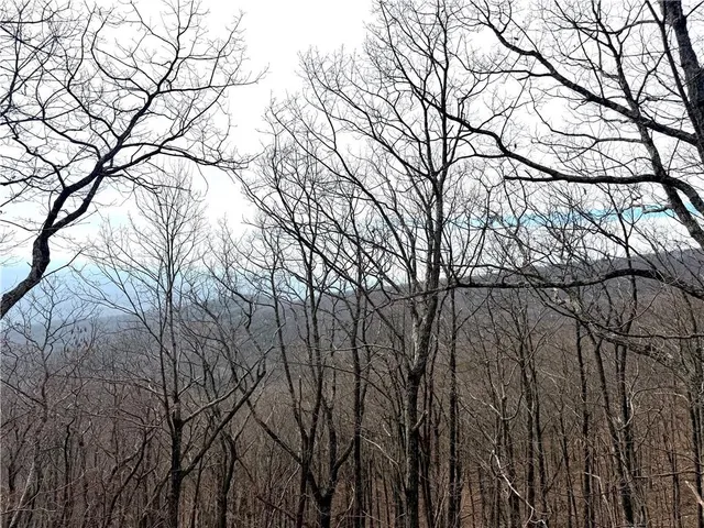 a lake view with boat and trees