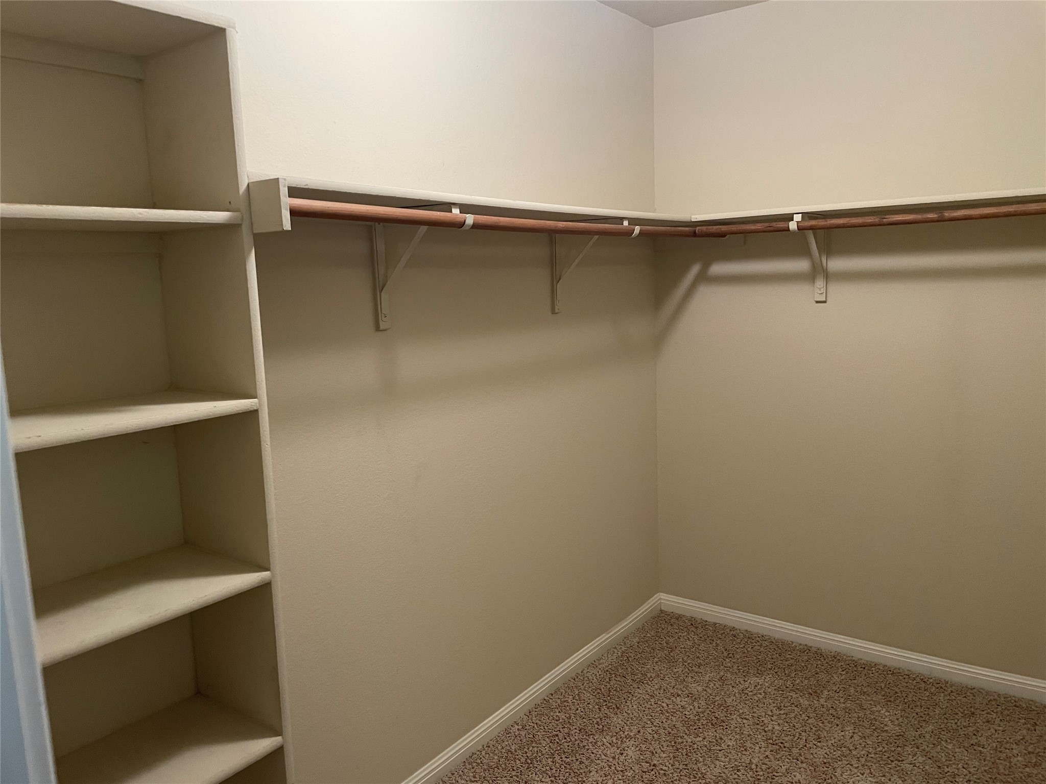 102 Sandy Lyle Cove Round Rock, TX 78664 - Photo 24 of 38 a close view of closet