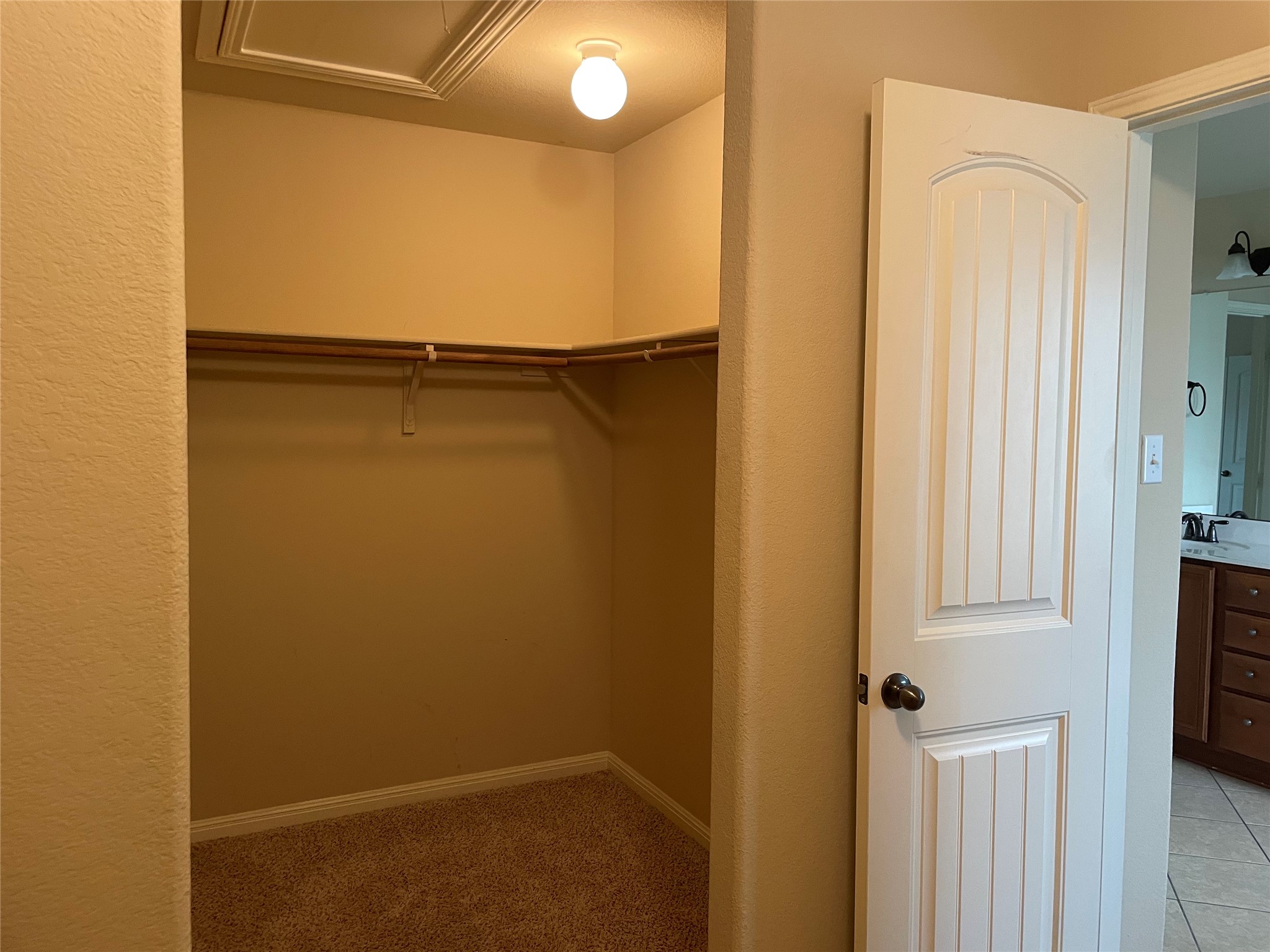 102 Sandy Lyle Cove Round Rock, TX 78664 - Photo 25 of 38 a view of closet area