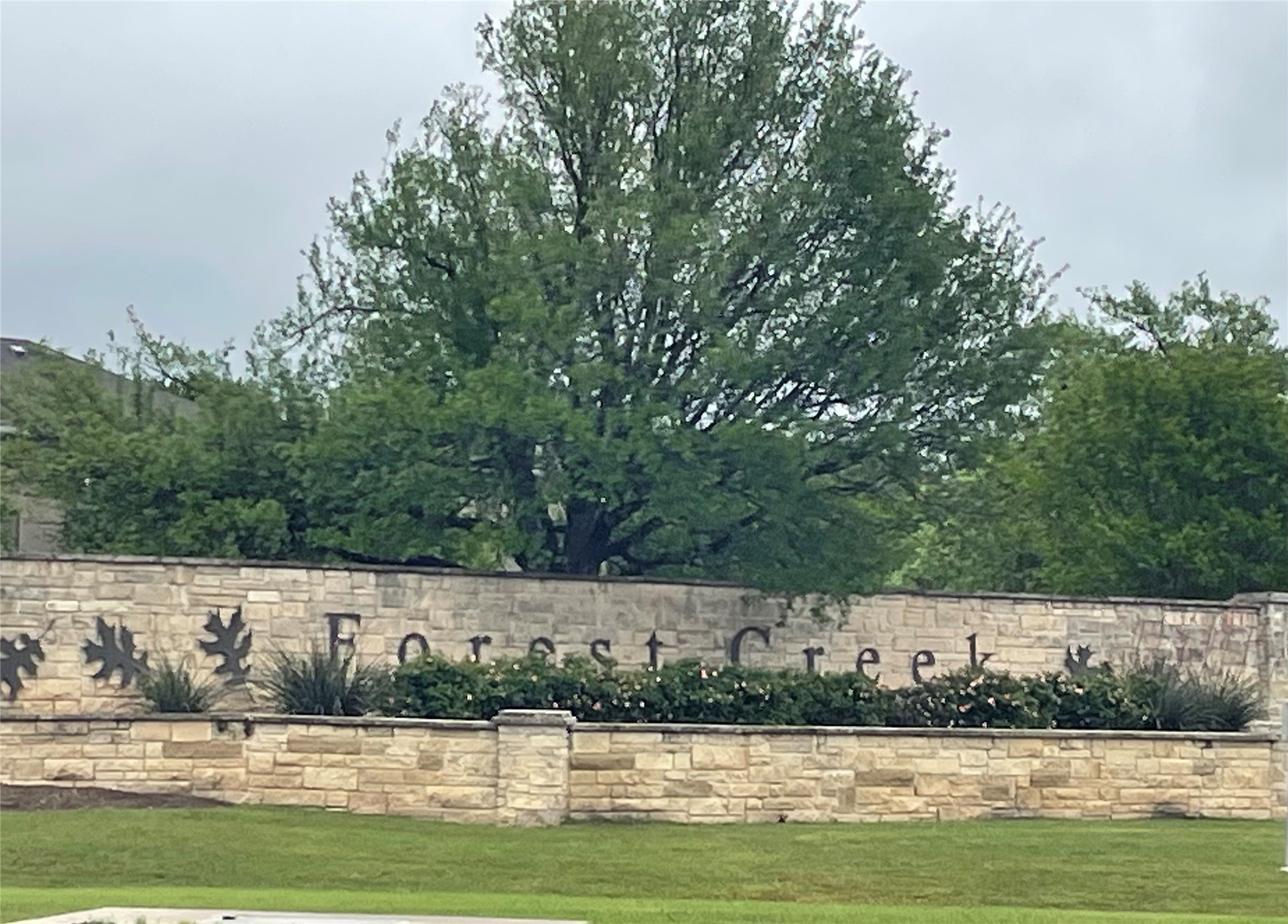 102 Sandy Lyle Cove Round Rock, TX 78664 - Photo 38 of 38 a view of a lake with houses