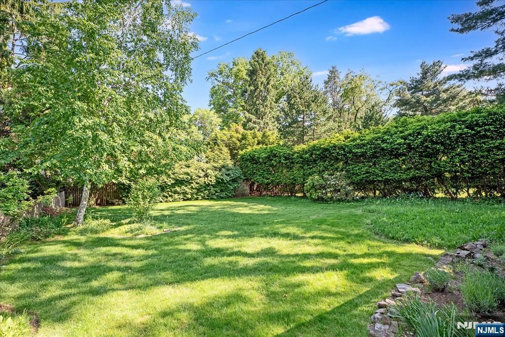 687 Grove Street Montclair, NJ 07043 - Photo 14 of 18 a view of a lush green space
