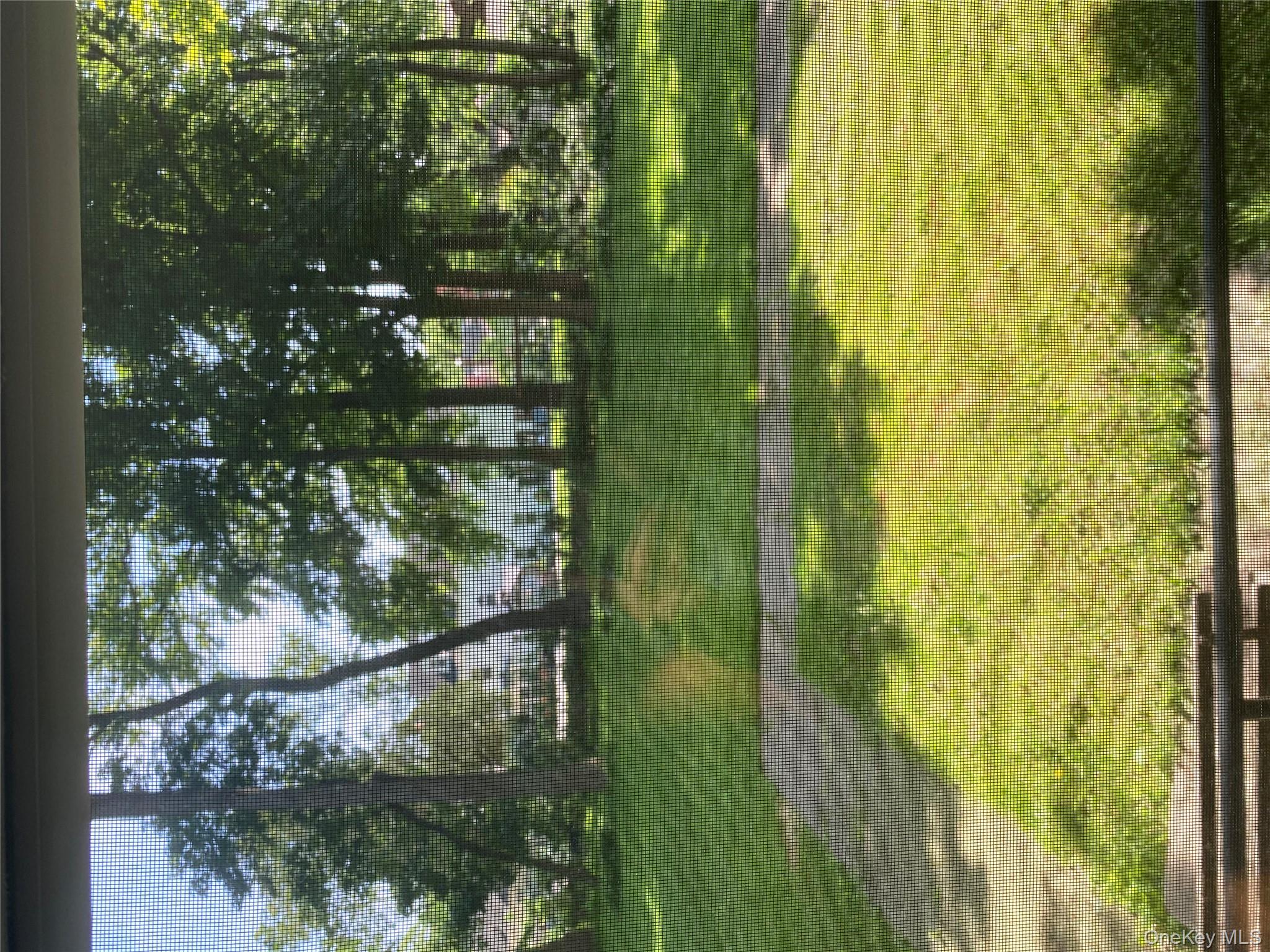 50 South Middle Neck Road, Unit 1B Great Neck, NY 11021 - Photo 9 of 11 a view of a swimming pool with an outdoor space and seating area