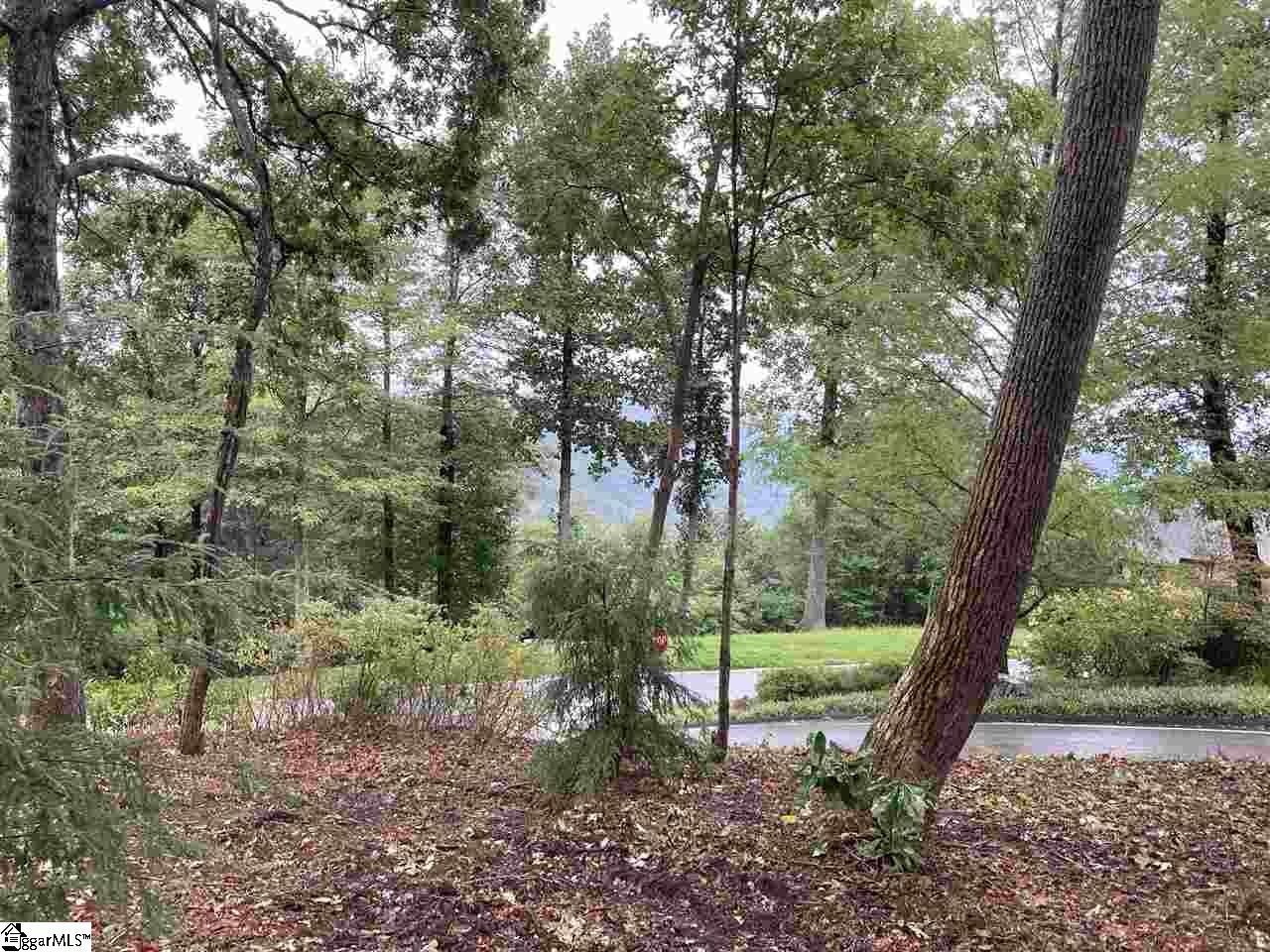 22 High Cliffe Way Landrum, SC 29356 - Photo 4 of 6 Gallery Image 4