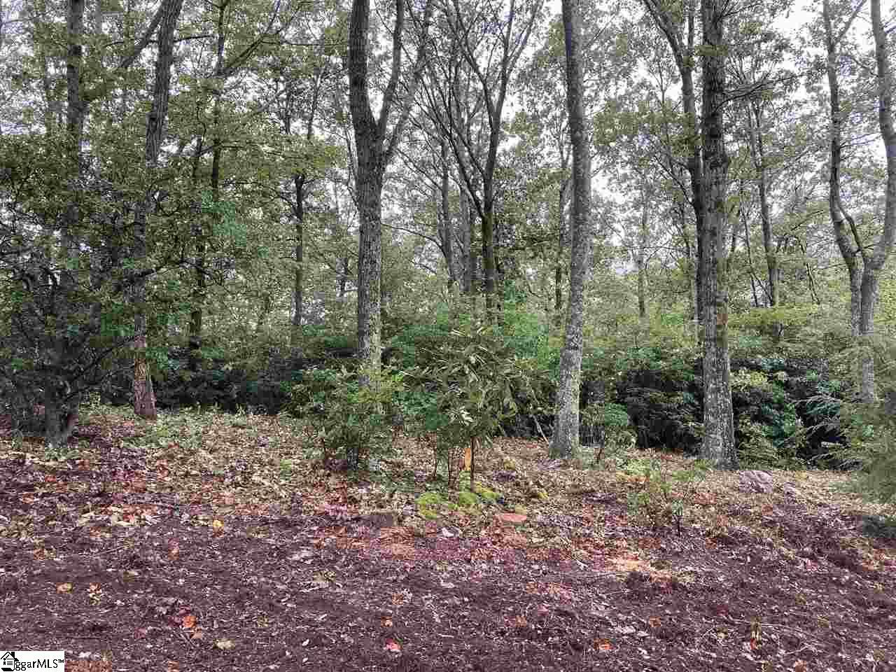 22 High Cliffe Way Landrum, SC 29356 - Photo 5 of 6 Gallery Image 5