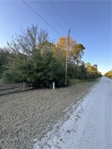 a view of a yard with a tree