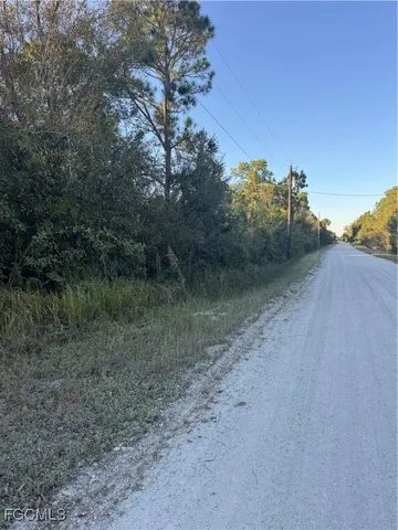 a view of a dry yard with trees in the background
