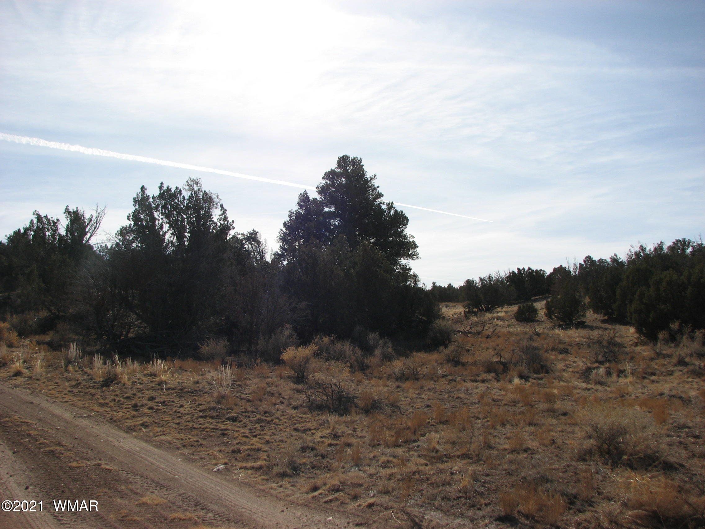 Lot 255 Chevelon Canyon Ranch Heber, AZ 85928 - Photo 1 of 8