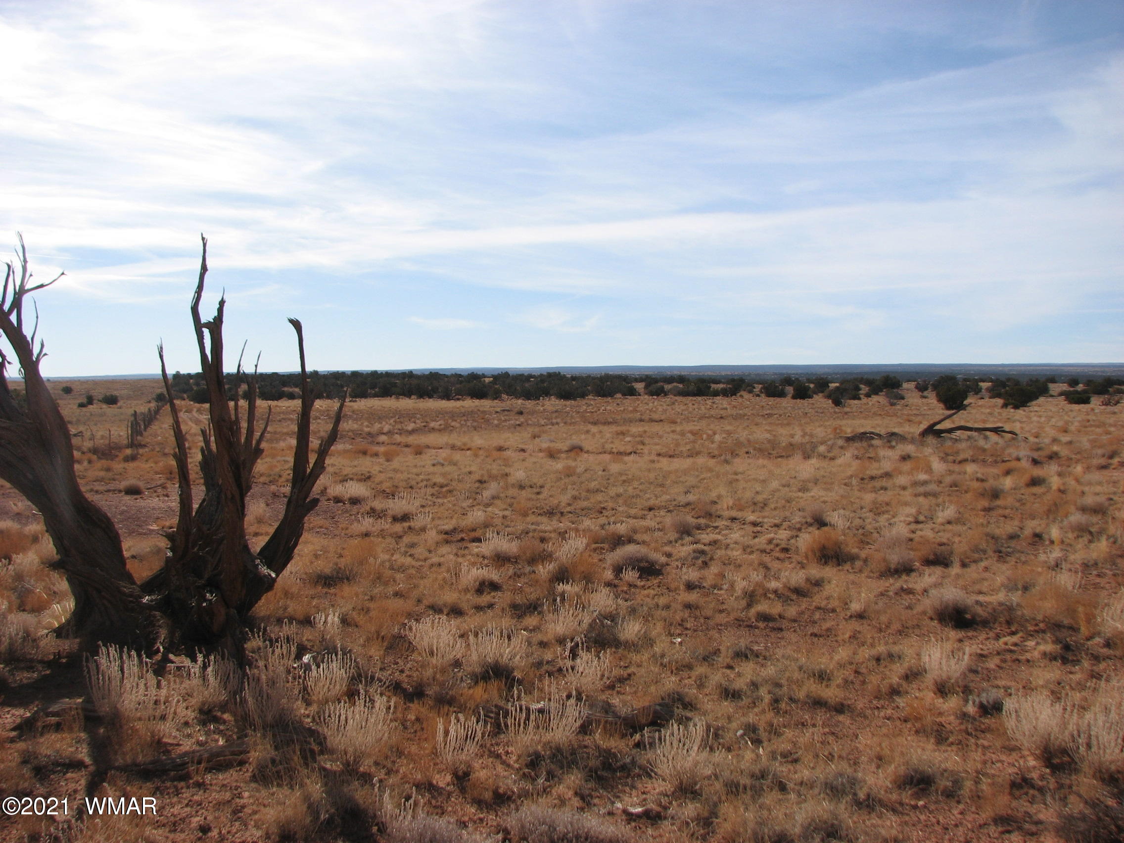Lot 255 Chevelon Canyon Ranch Heber, AZ 85928 - Photo 2 of 8