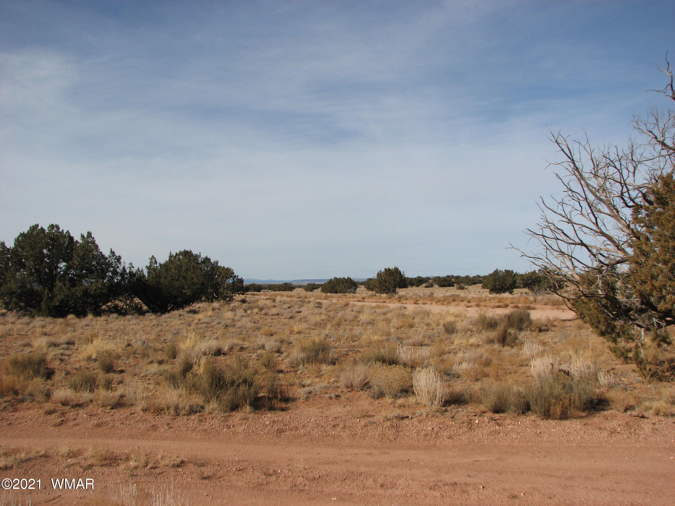 Lot 255 Chevelon Canyon Ranch Heber, AZ 85928 - Photo 3 of 8