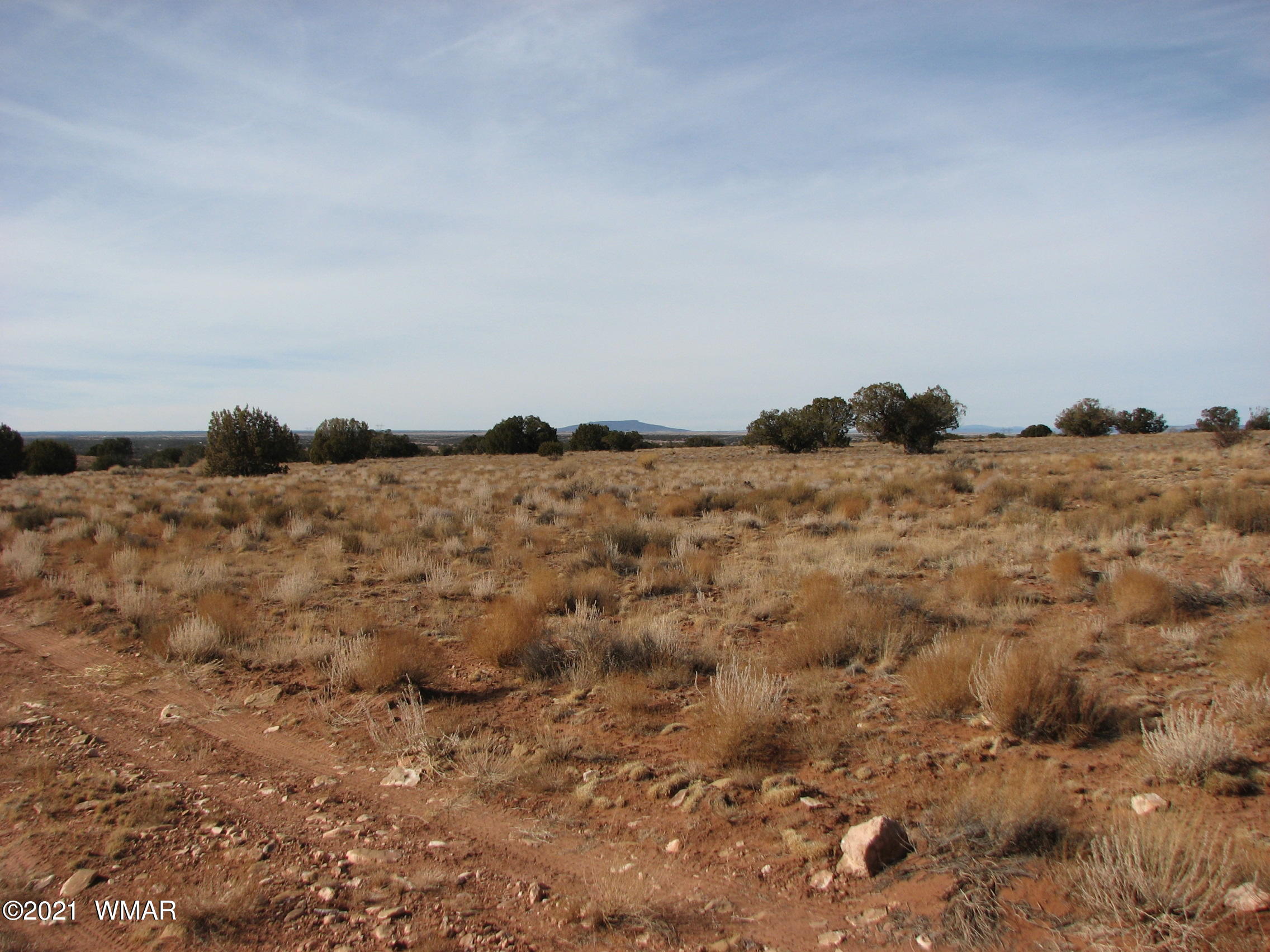 Lot 255 Chevelon Canyon Ranch Heber, AZ 85928 - Photo 4 of 8