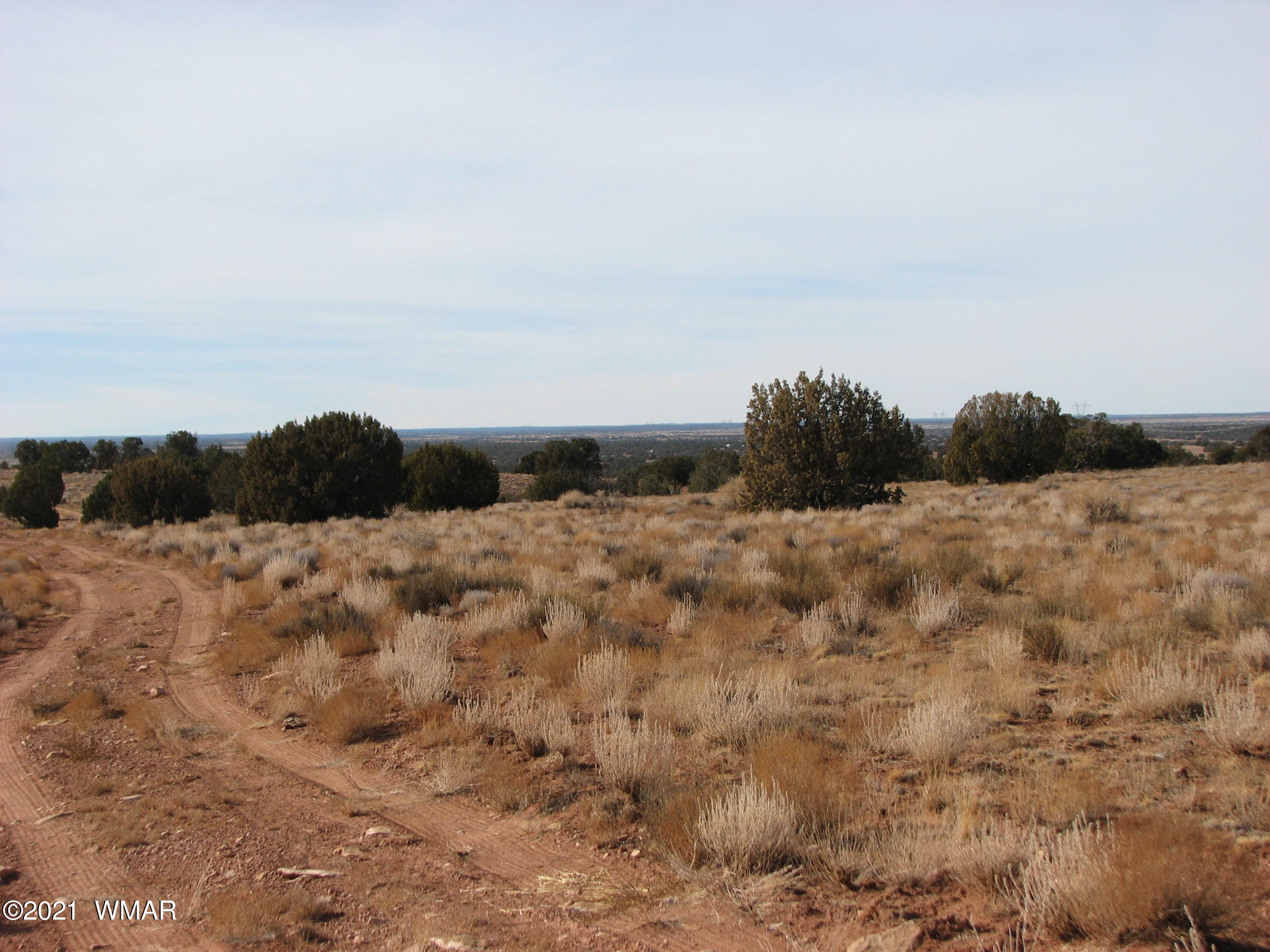 Lot 255 Chevelon Canyon Ranch Heber, AZ 85928 - Photo 5 of 8