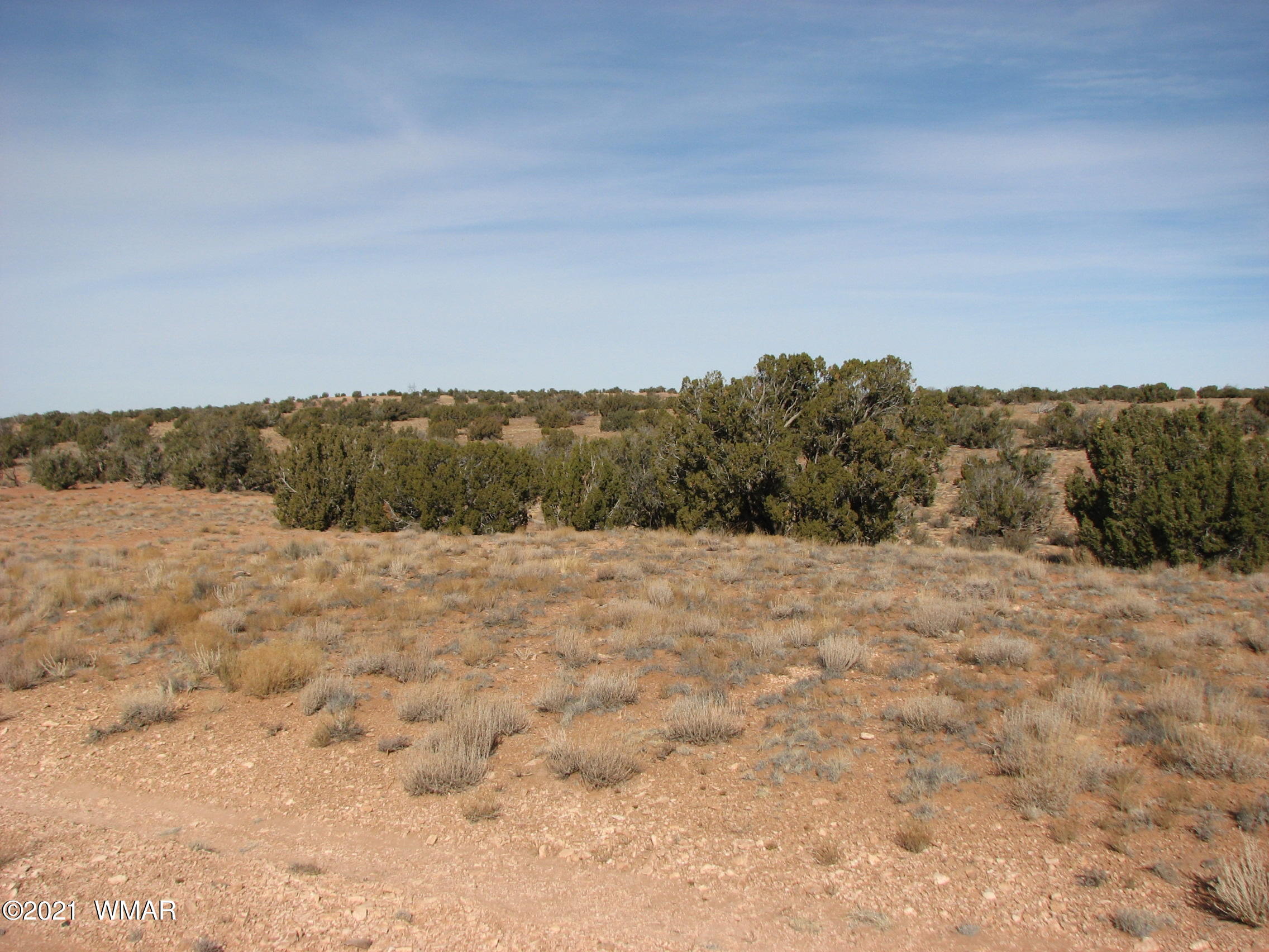 Lot 255 Chevelon Canyon Ranch Heber, AZ 85928 - Photo 6 of 8