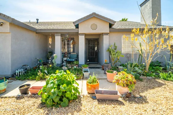 a front view of a house with lots of potted plants