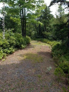 5948 Clover Road Long Pond, PA 18334 - Photo 1 of 11 a view of backyard with green space