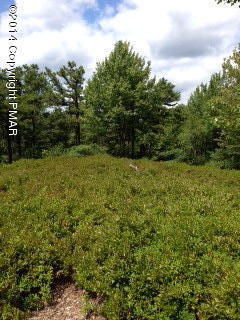 5948 Clover Road Long Pond, PA 18334 - Photo 3 of 11 a view of a field with plants and trees in the background