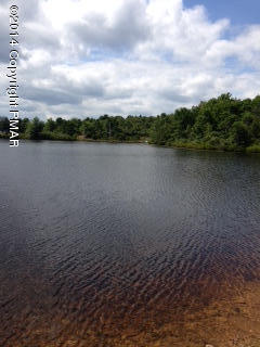5948 Clover Road Long Pond, PA 18334 - Photo 7 of 11 a view of a lake view