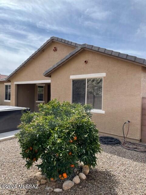 38825 South Running Roses Lane Tucson, AZ 85739 - Photo 11 of 20