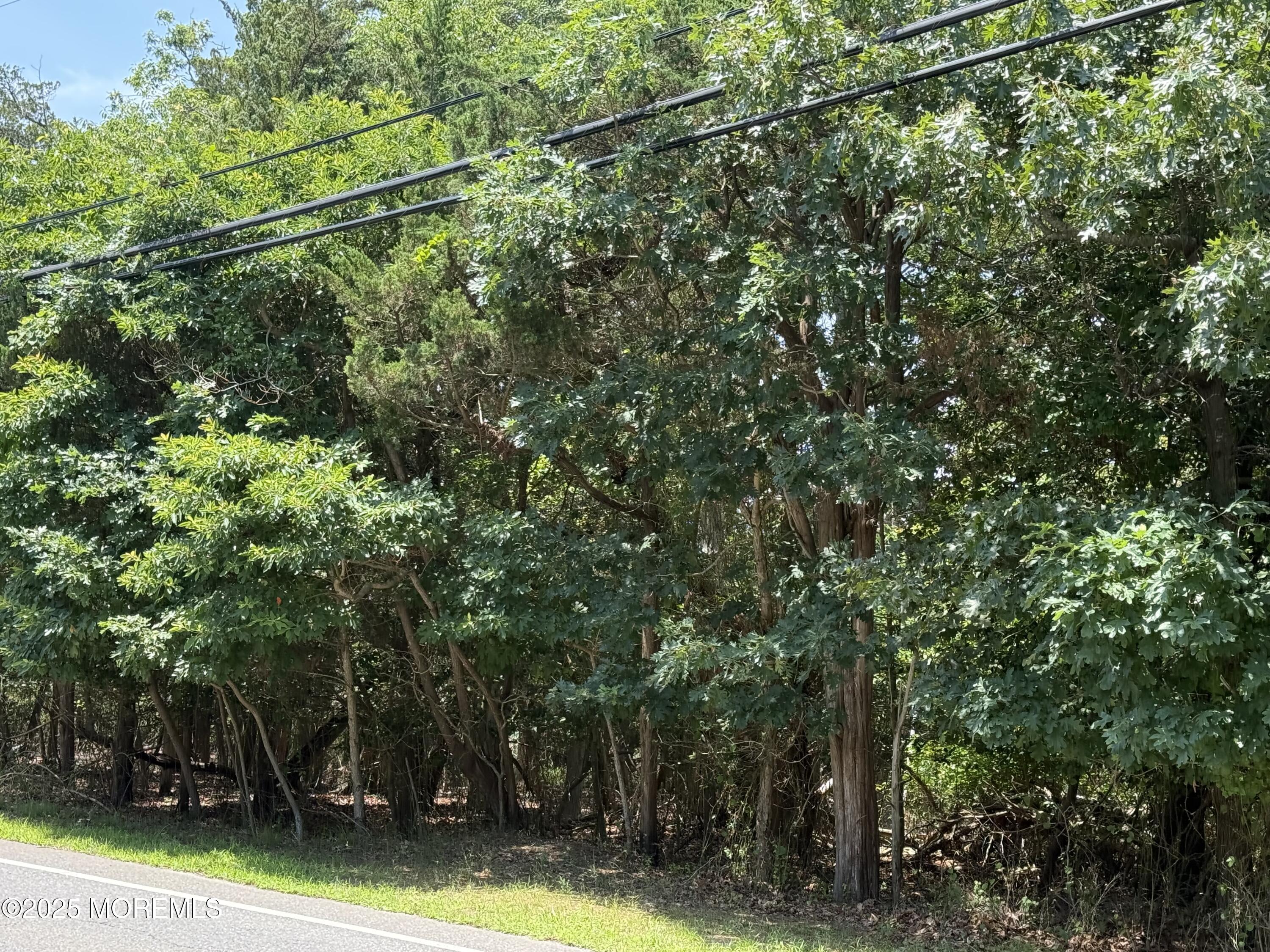 1298 Radio Road Little Egg Harbor, NJ 08087 - Photo 4 of 9 IMG_3315