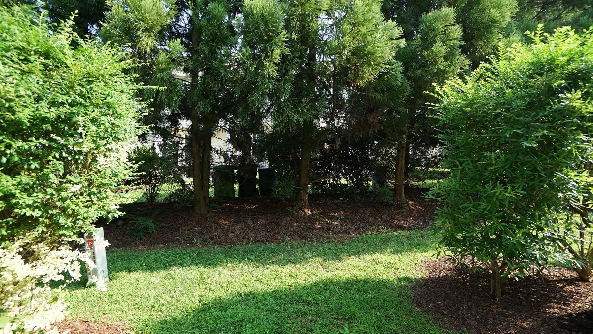 7842 Silverthread Lane Raleigh, NC 27617 - Photo 25 of 26 *View from Back Patio*