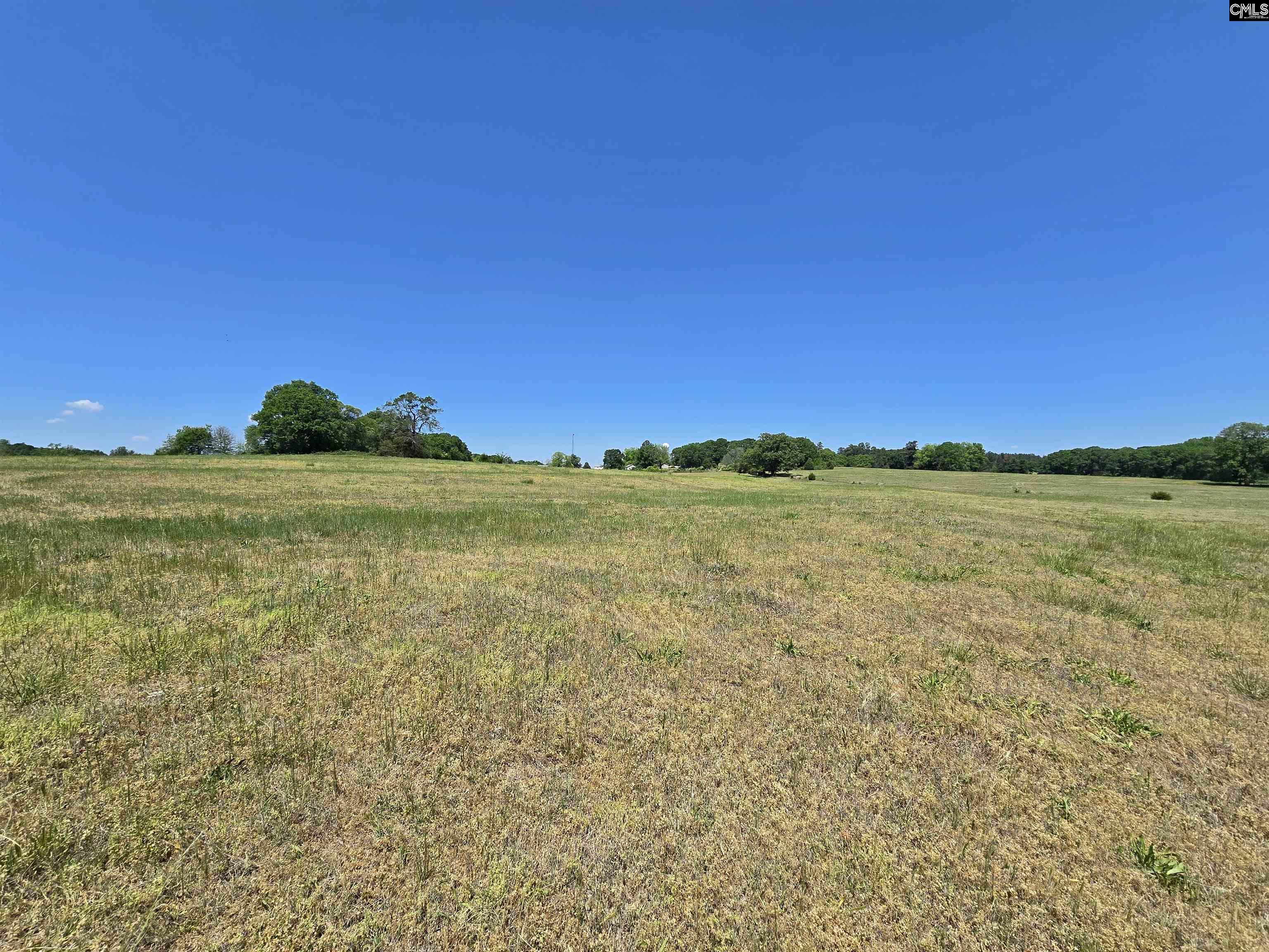 542 Pea Ridge Highway Jonesville, SC 29353 - Photo 29 of 72