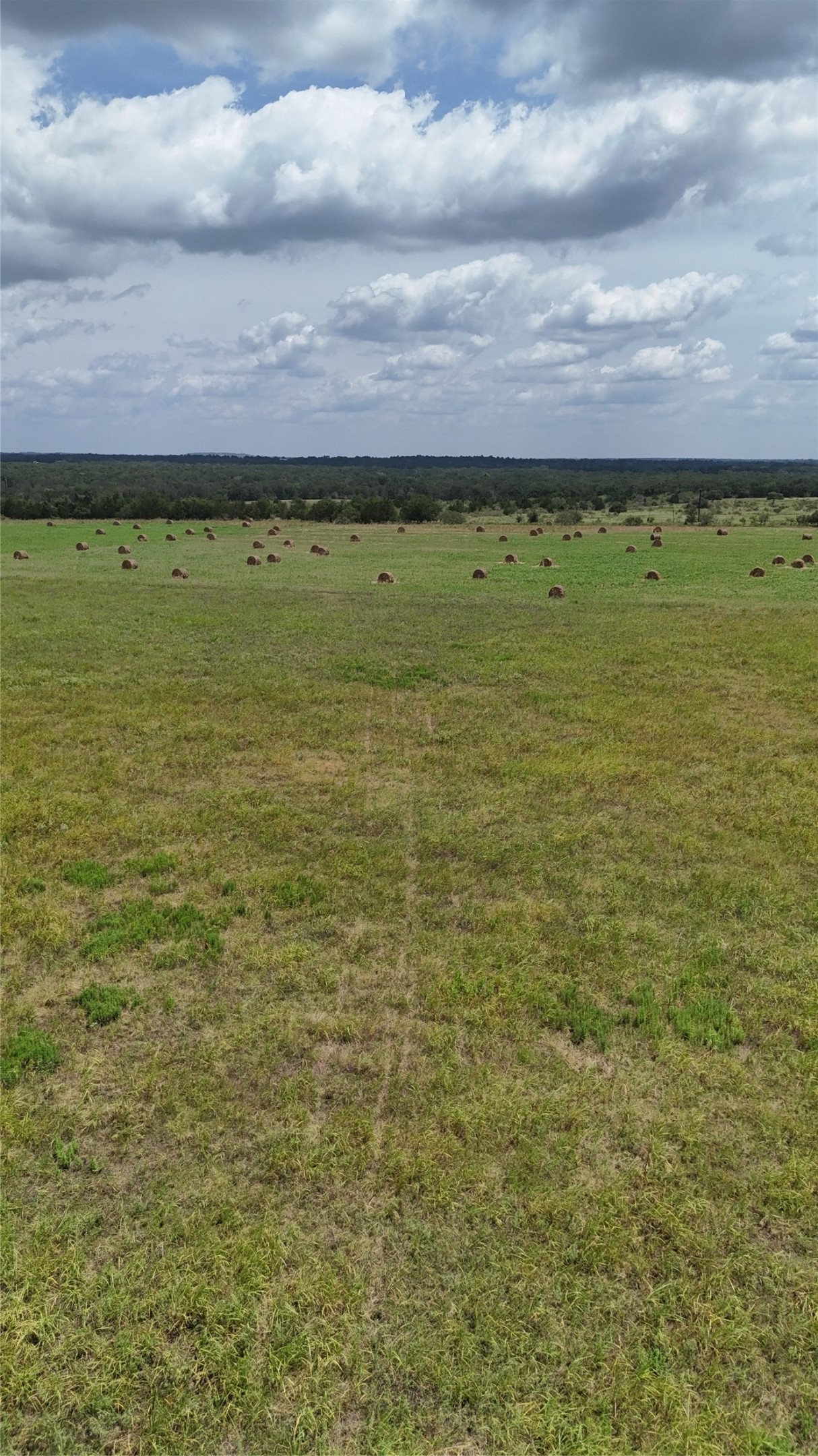 205 St Delight Road Paige, TX 78659 - Photo 2 of 7