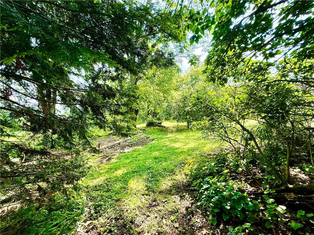 2760 Ridge Rd Extension Baden, PA 15005 - Photo 20 of 23 a view of a large yard with lots of bushes