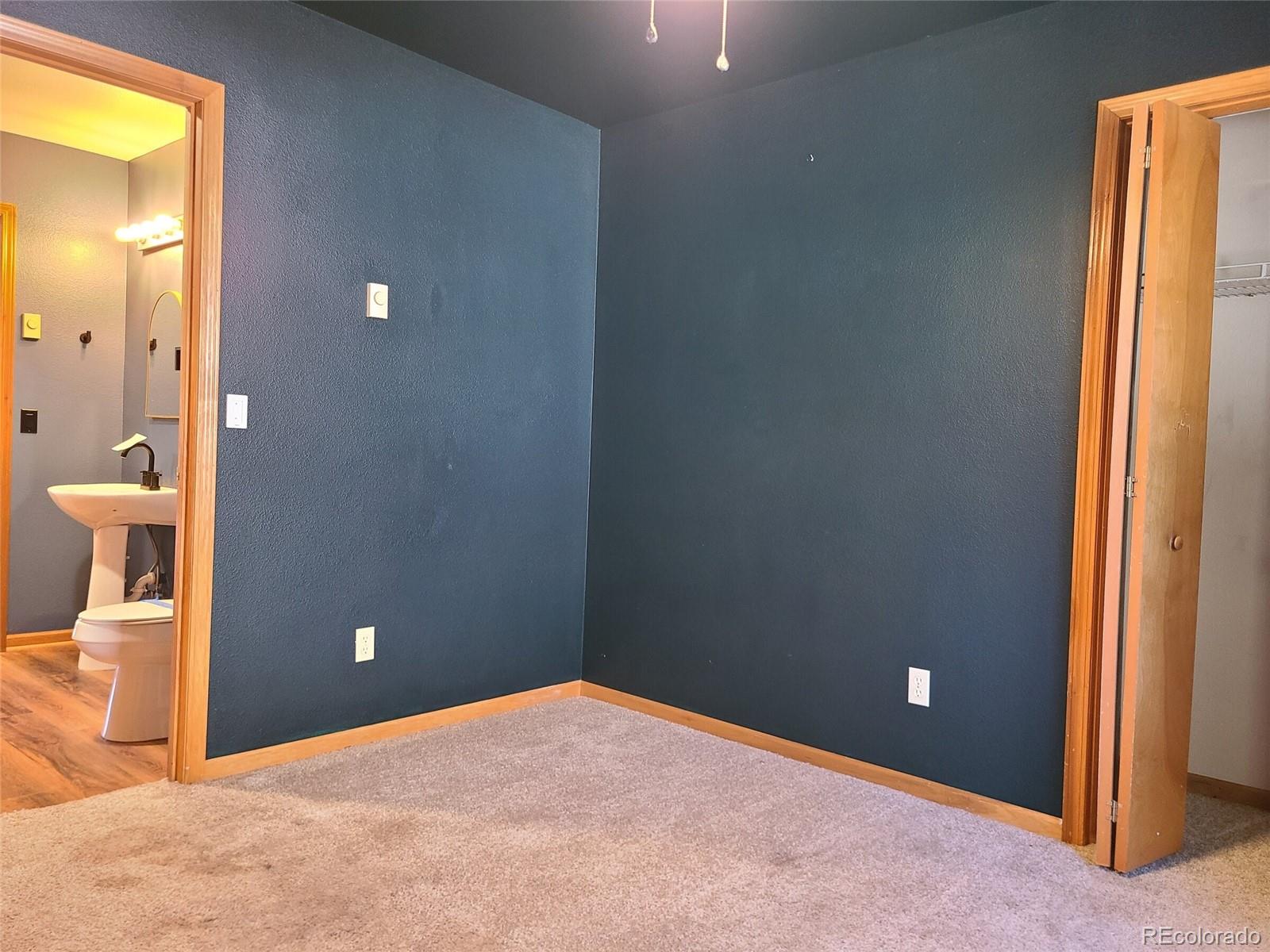 757 Thompson Park Road Fairplay, CO 80440 - Photo 16 of 34 Gallery Image 16