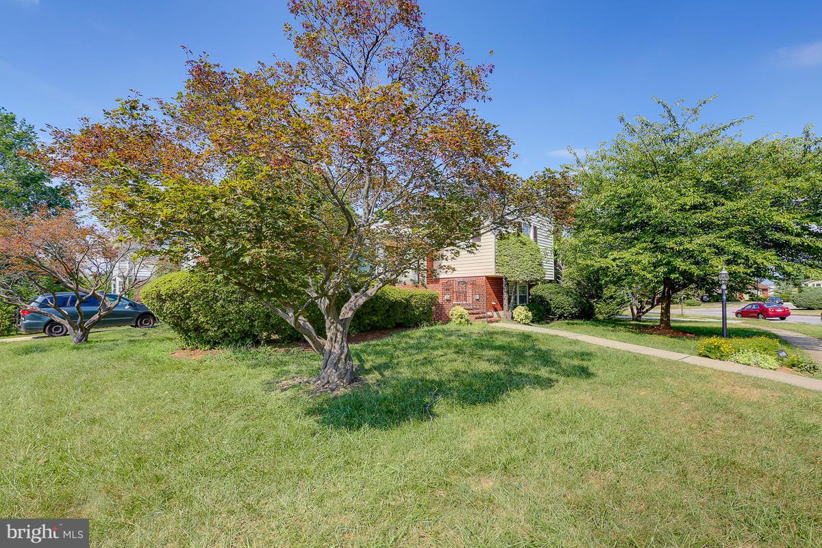 6500 Gardenwick Road Baltimore, MD 21209 - Photo 3 of 30 Exterior (General)