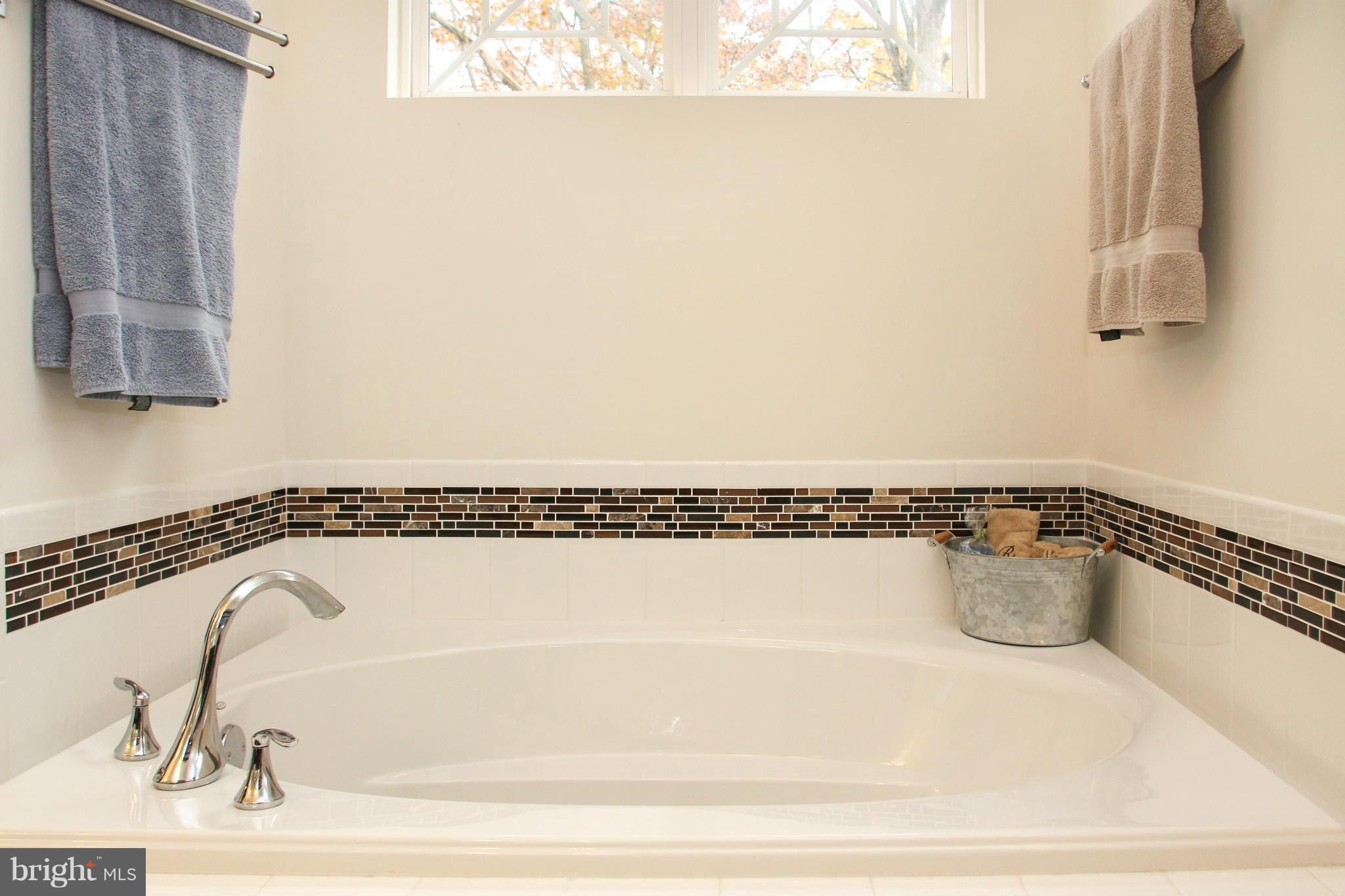 209 Red Pump Road Bel Air, MD 21014 - Photo 18 of 30 Bath (Master) soaking tub