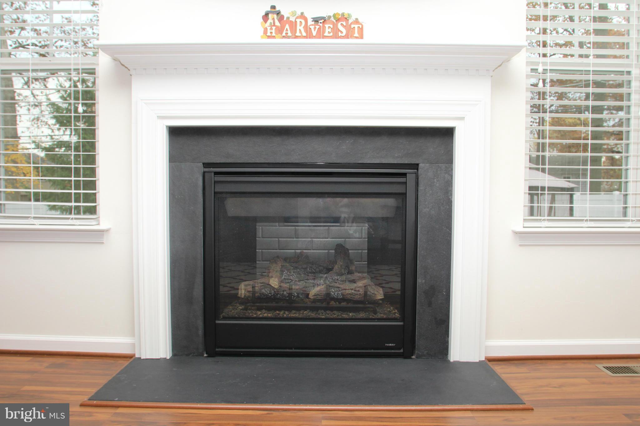209 Red Pump Road Bel Air, MD 21014 - Photo 10 of 30 Gas Fireplace